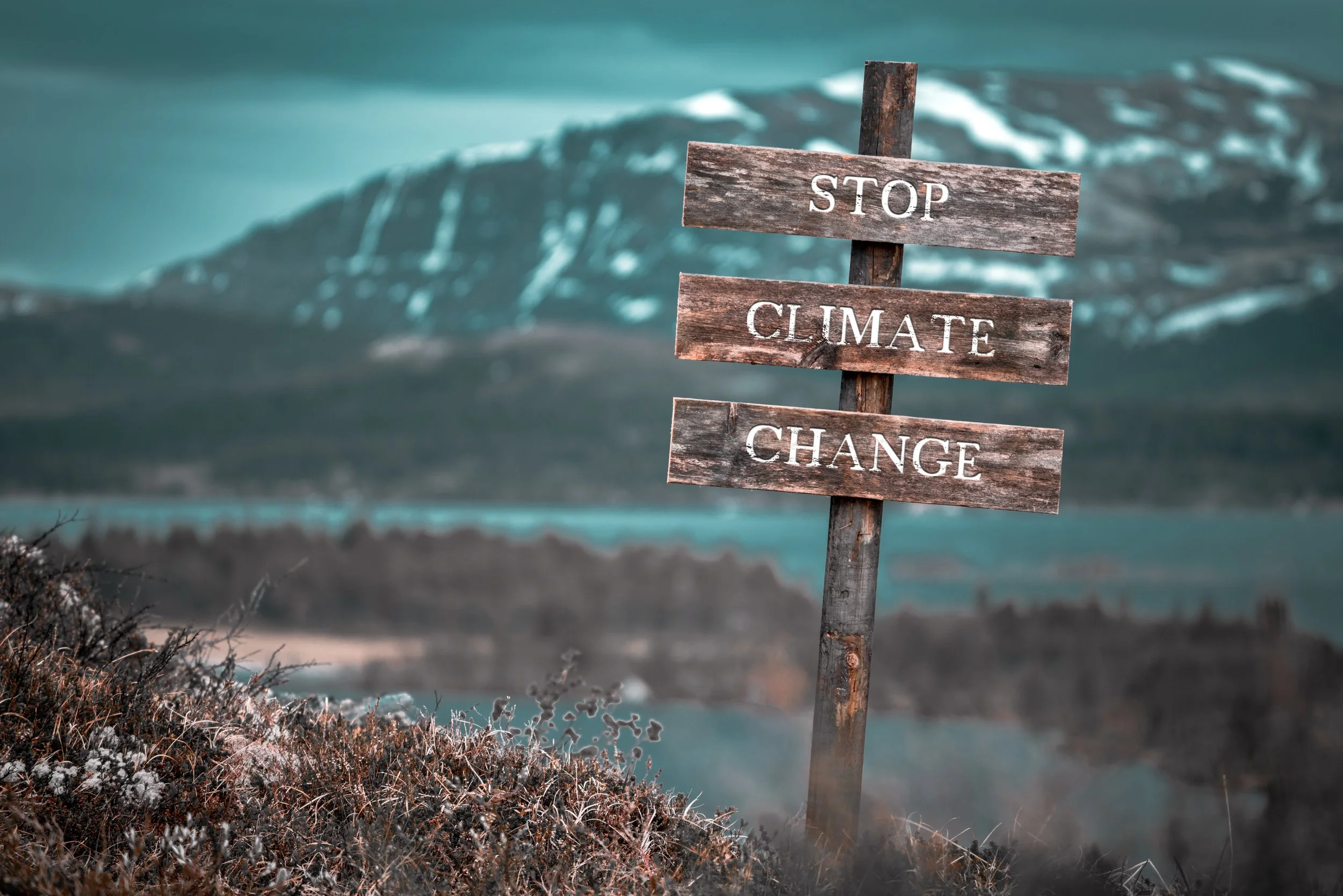 Firms Files Merits Brief in Supreme Court in Climate Change Case.