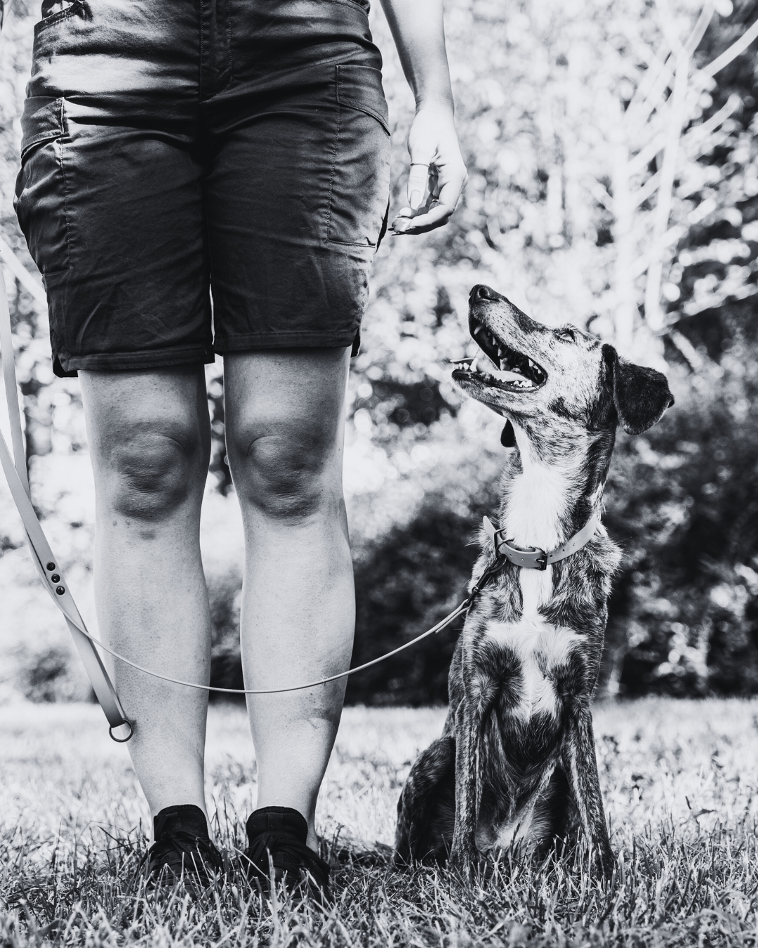 Silhouette of a woman with a ponytail wearing a hat and backpack, standing in a forest.