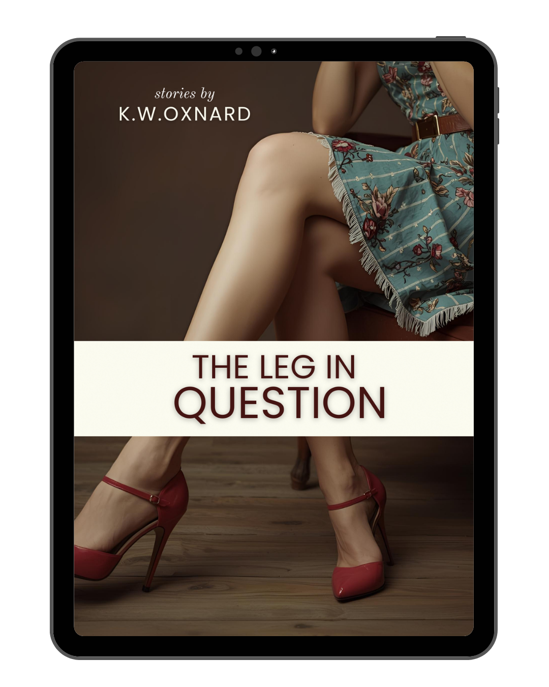 EBOOKCOVERS2025 (4).png