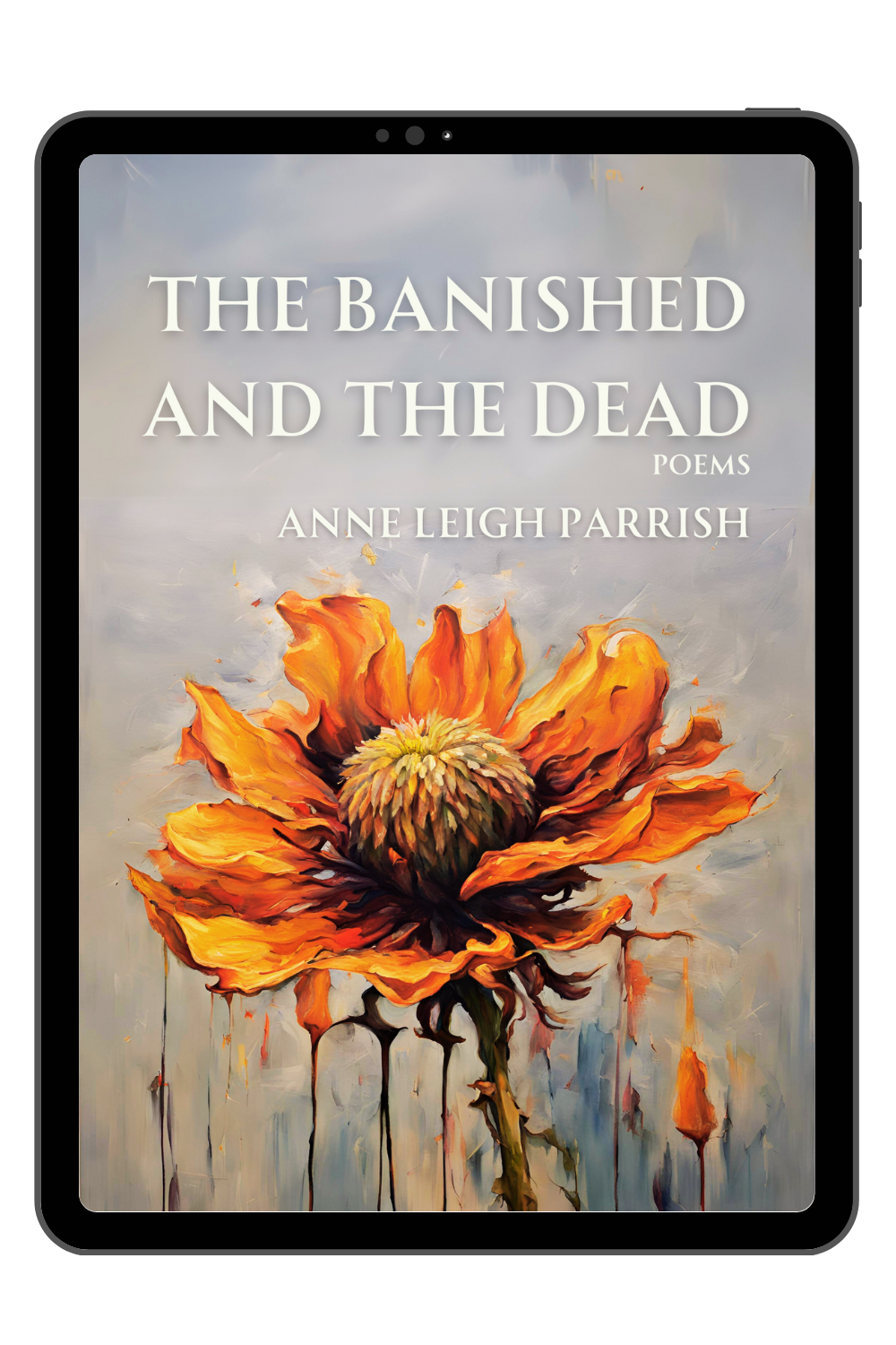 EBOOKCOVERS2025 (1).png