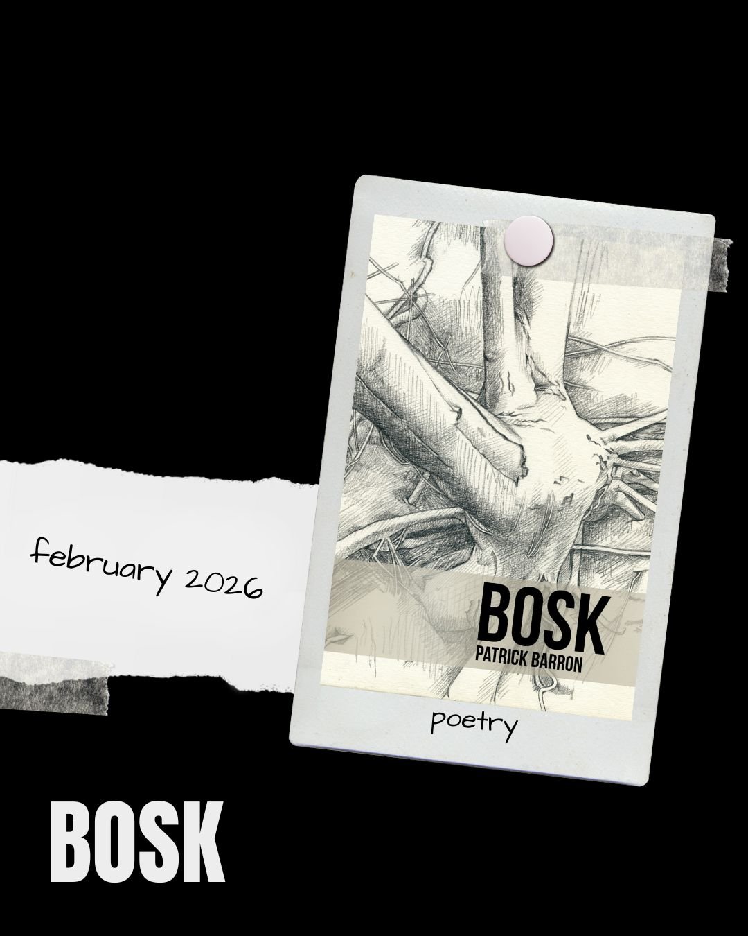 Listening to the Trees: Patrick Barron’s BOSK and the Art of Deep Attention