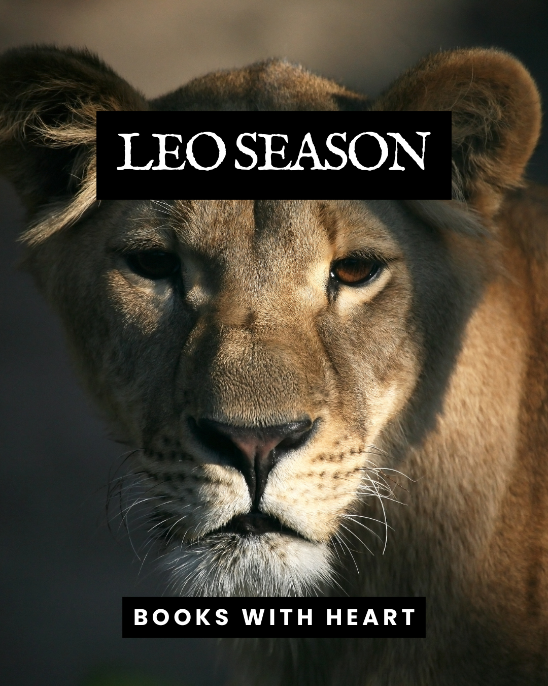 LEO SEASON: BOOKS WITH HEART