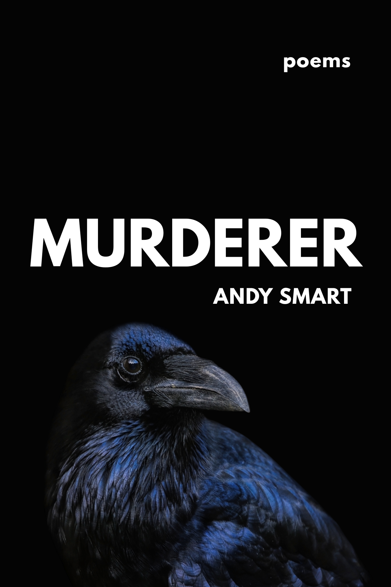 Copy of SMART.1.png