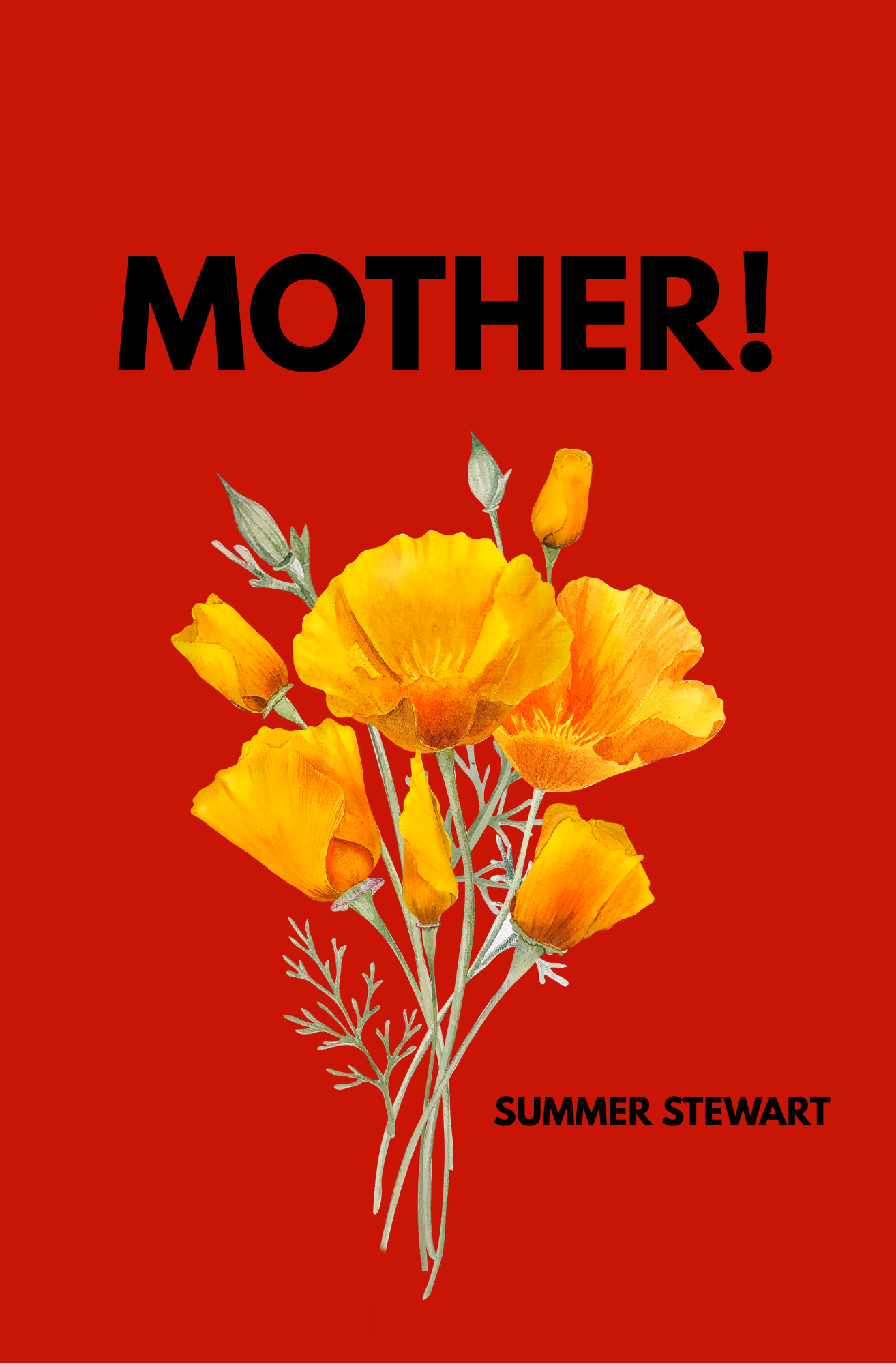 stewart1.png
