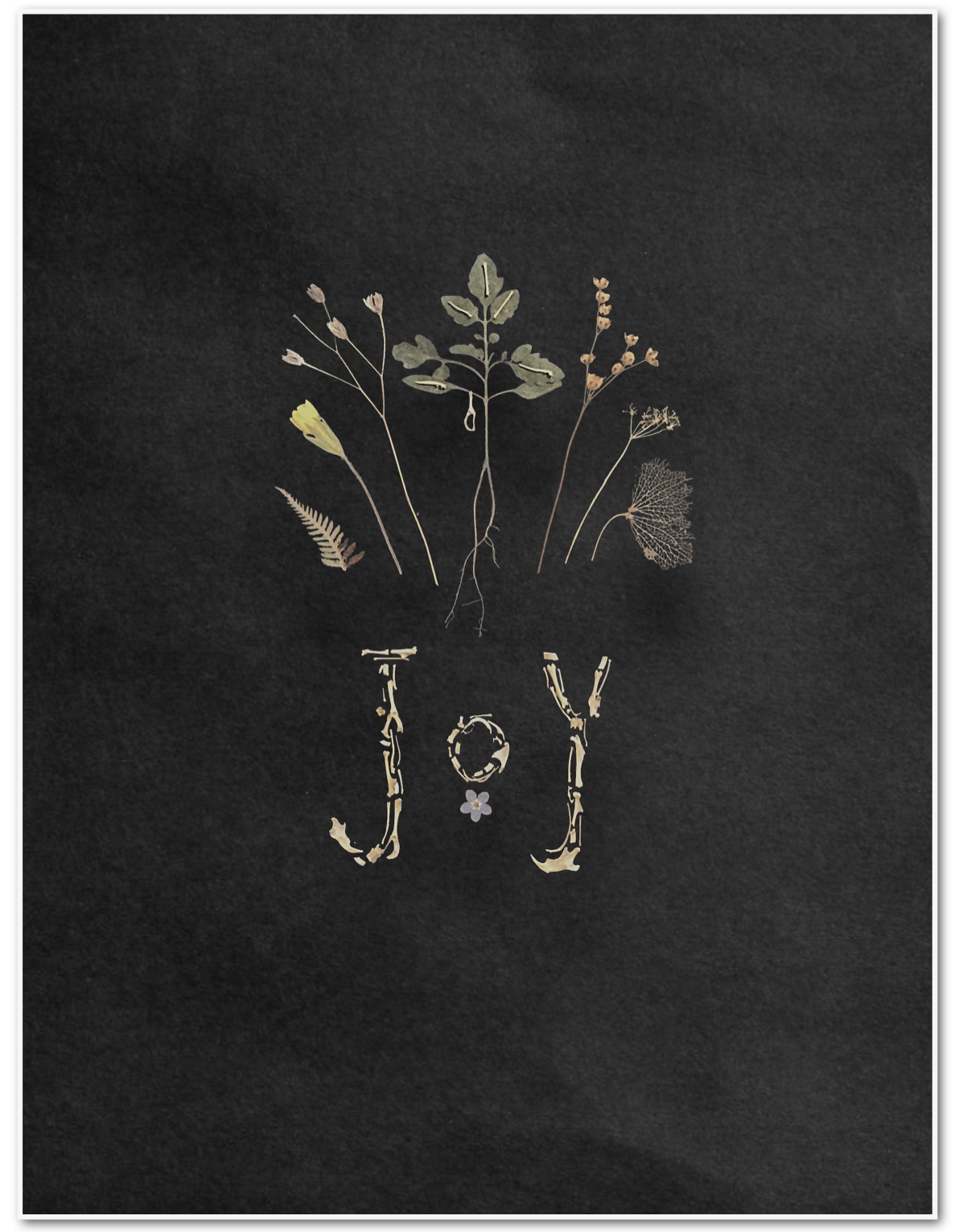 Joy front (Frans rough mock up).png