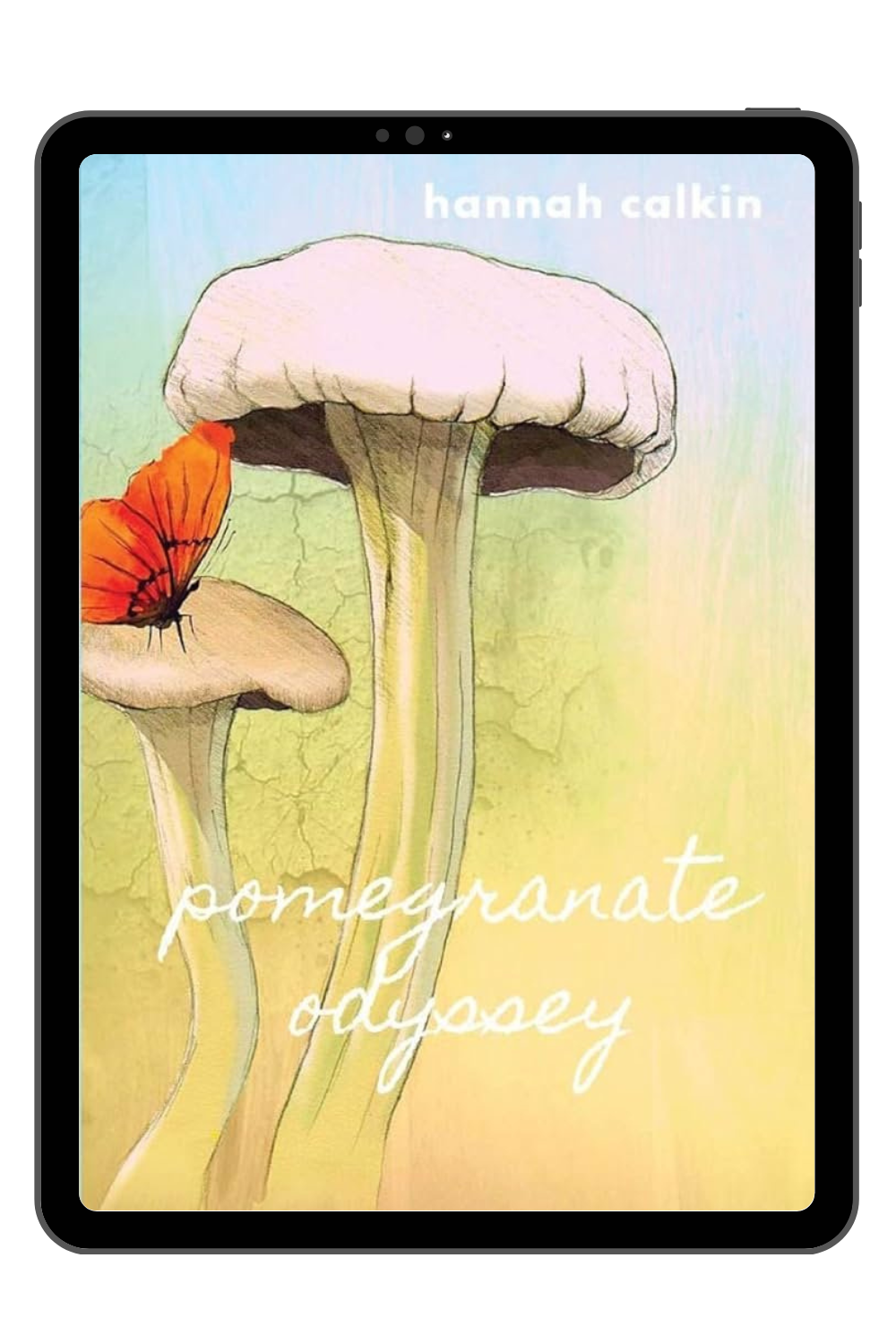 POMEGRANATE ODYSSEY