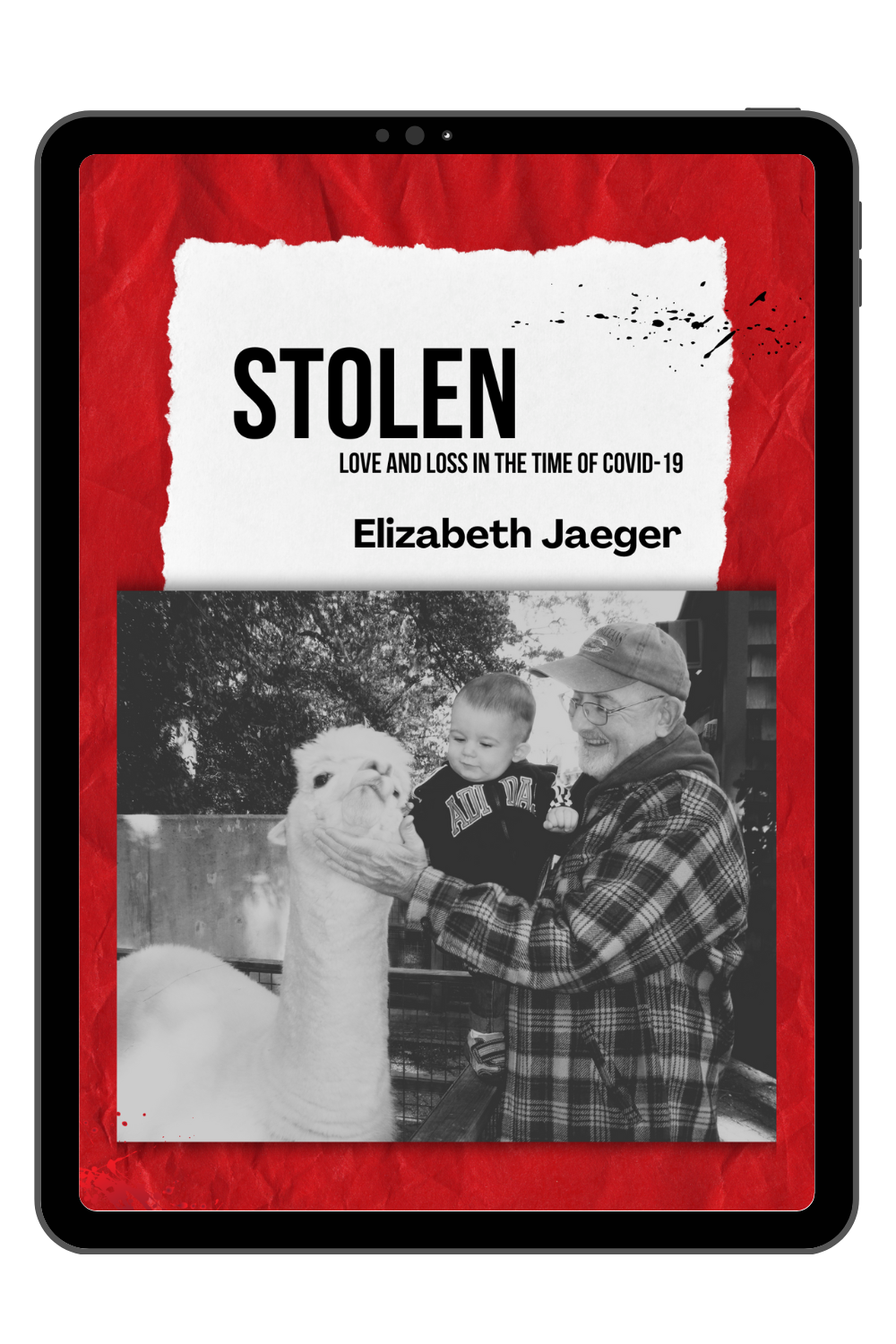STOLEN: LOVE AND LOSS IN THE TIME OF COVID-19 — Unsolicited Press