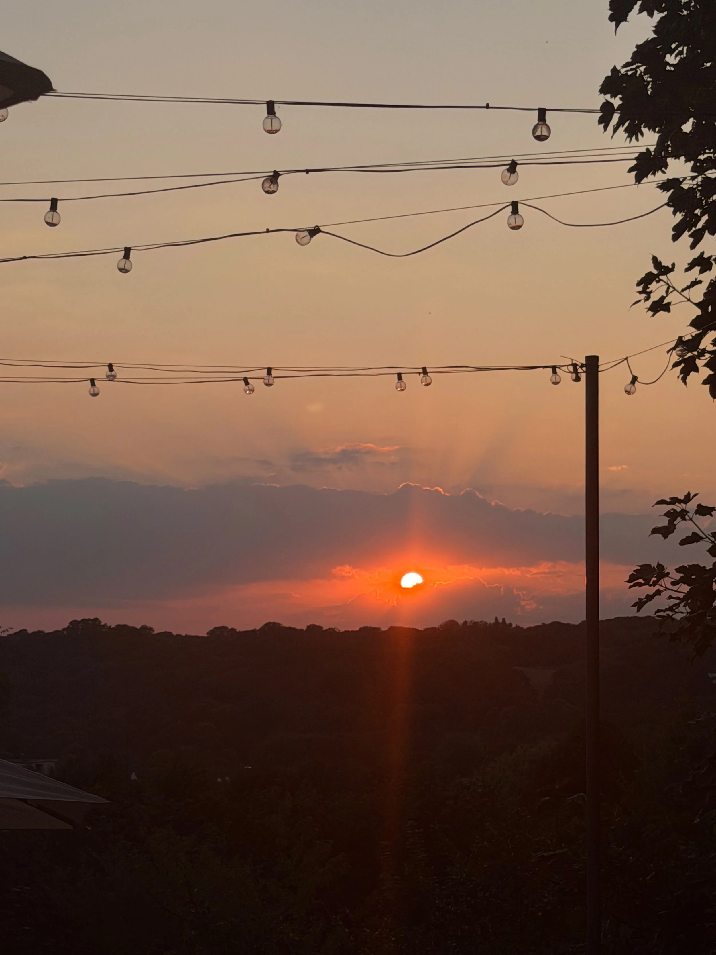 f392e268-3053-4d06-94ee-c326b006c64e.jpg