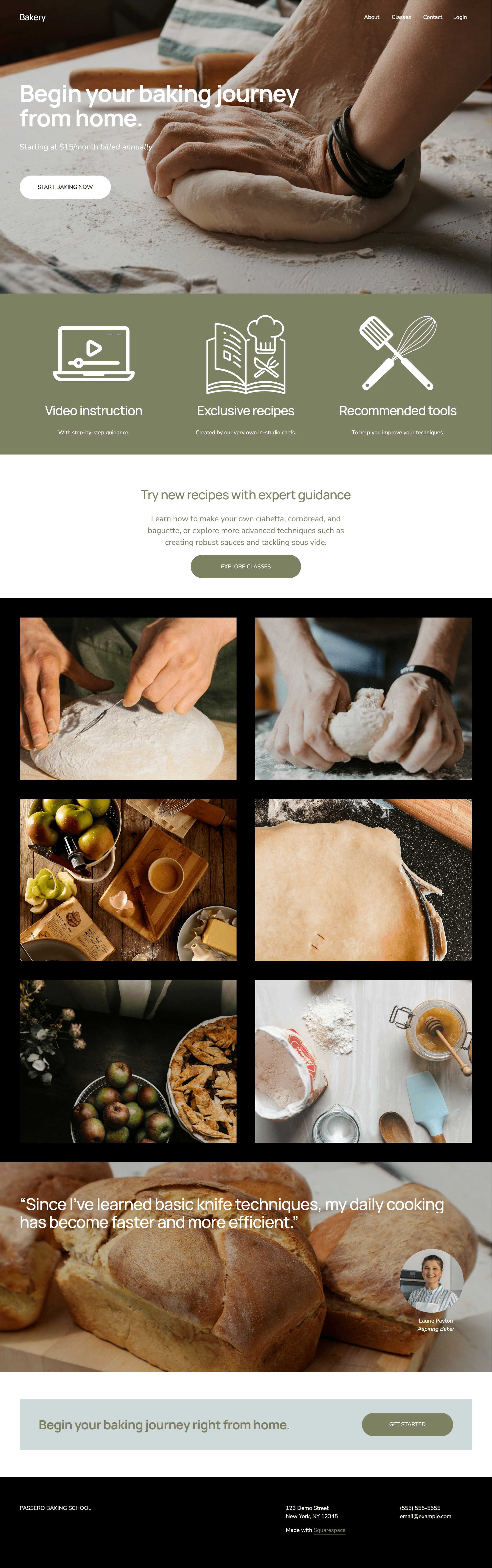 screencapture-dandelion-armadillo-4d24-squarespace-home-2024-12-05-14_36_40-min.png