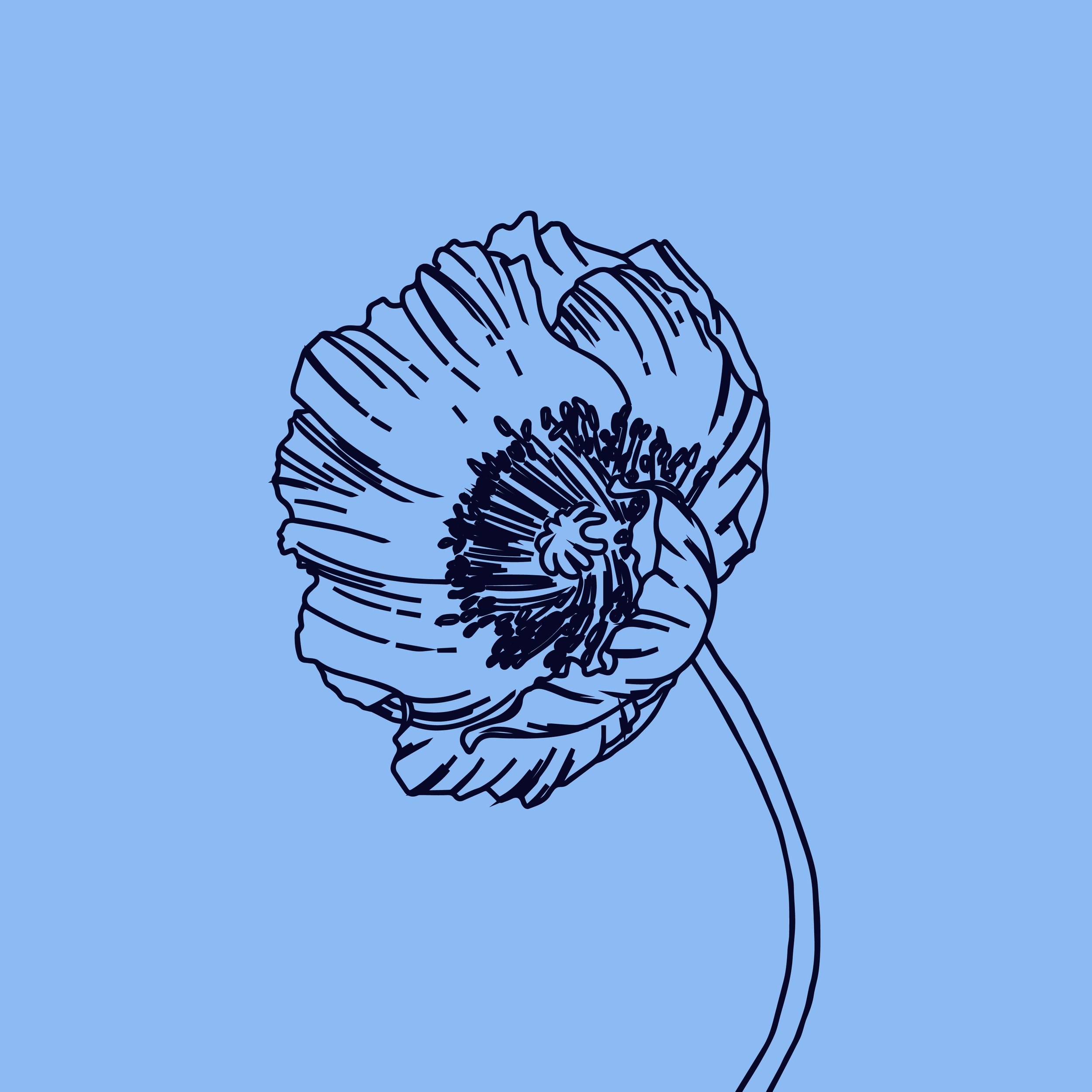 28 FLOWERS Profile Image-18.jpg