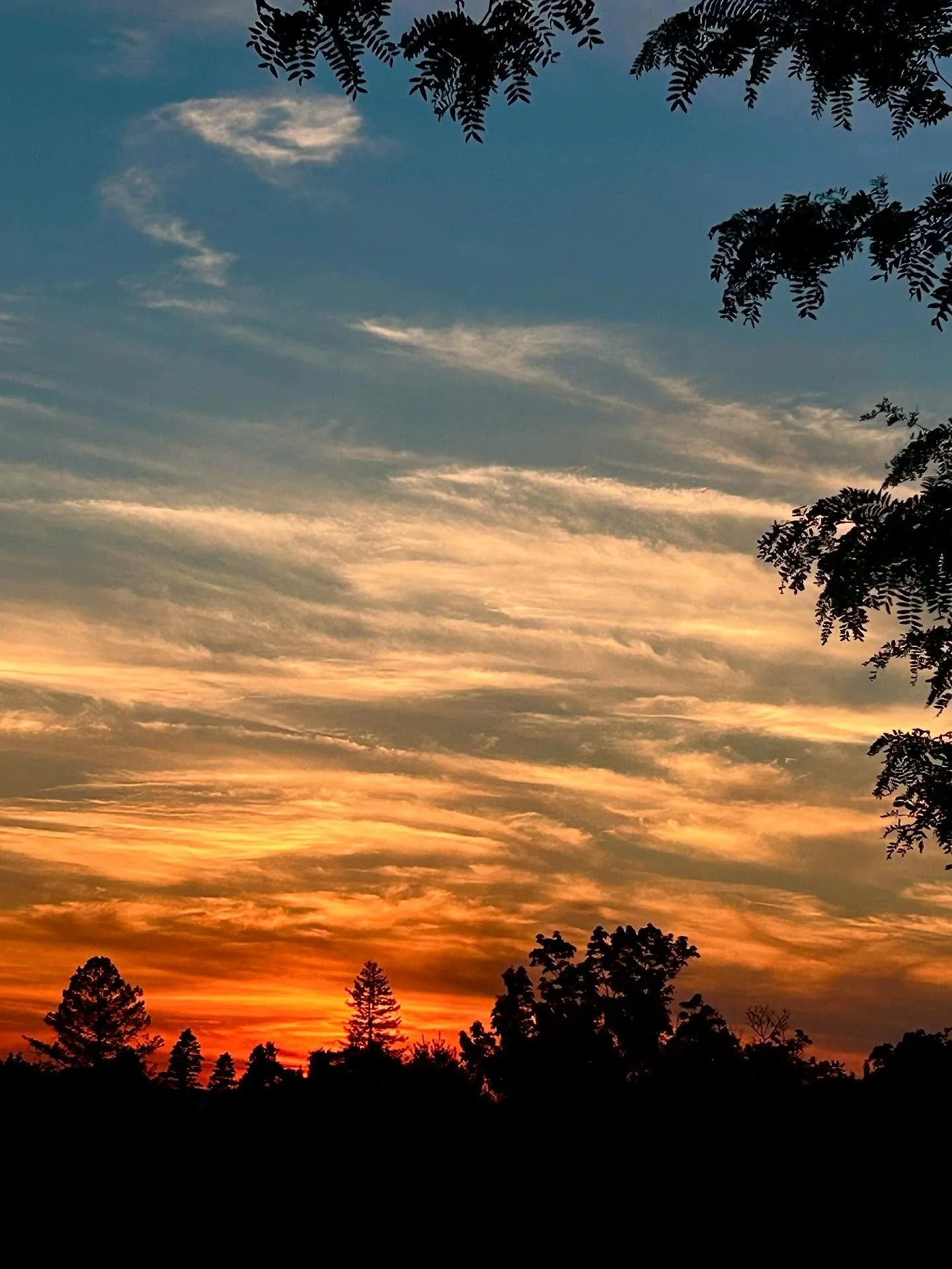 #photoftheday #sunset #orangesunset #summer #summernight #summersunset #amateurphotography #jackietangarone