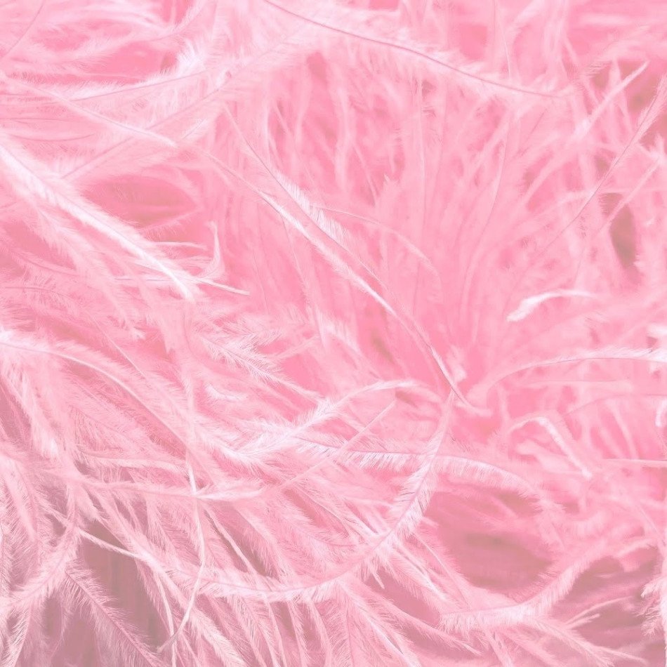 ostrich-boa-6-ply180-sugar-pink.jpg