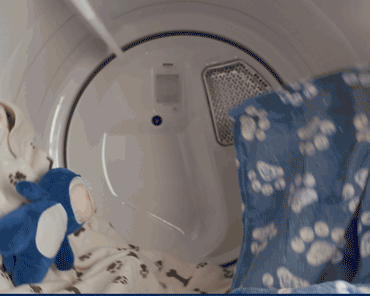 Maytag Product Launches