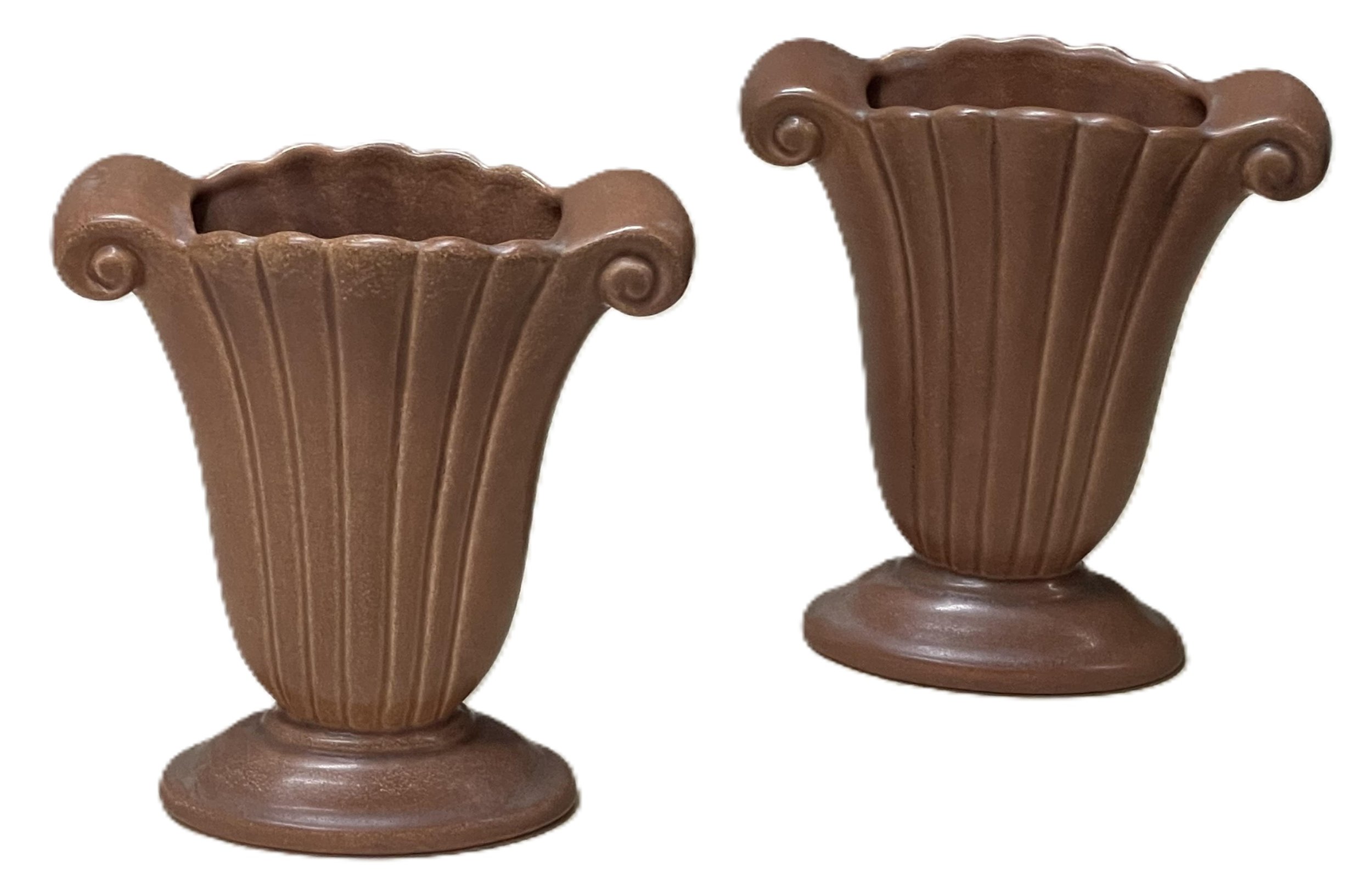 brown twins.jpg