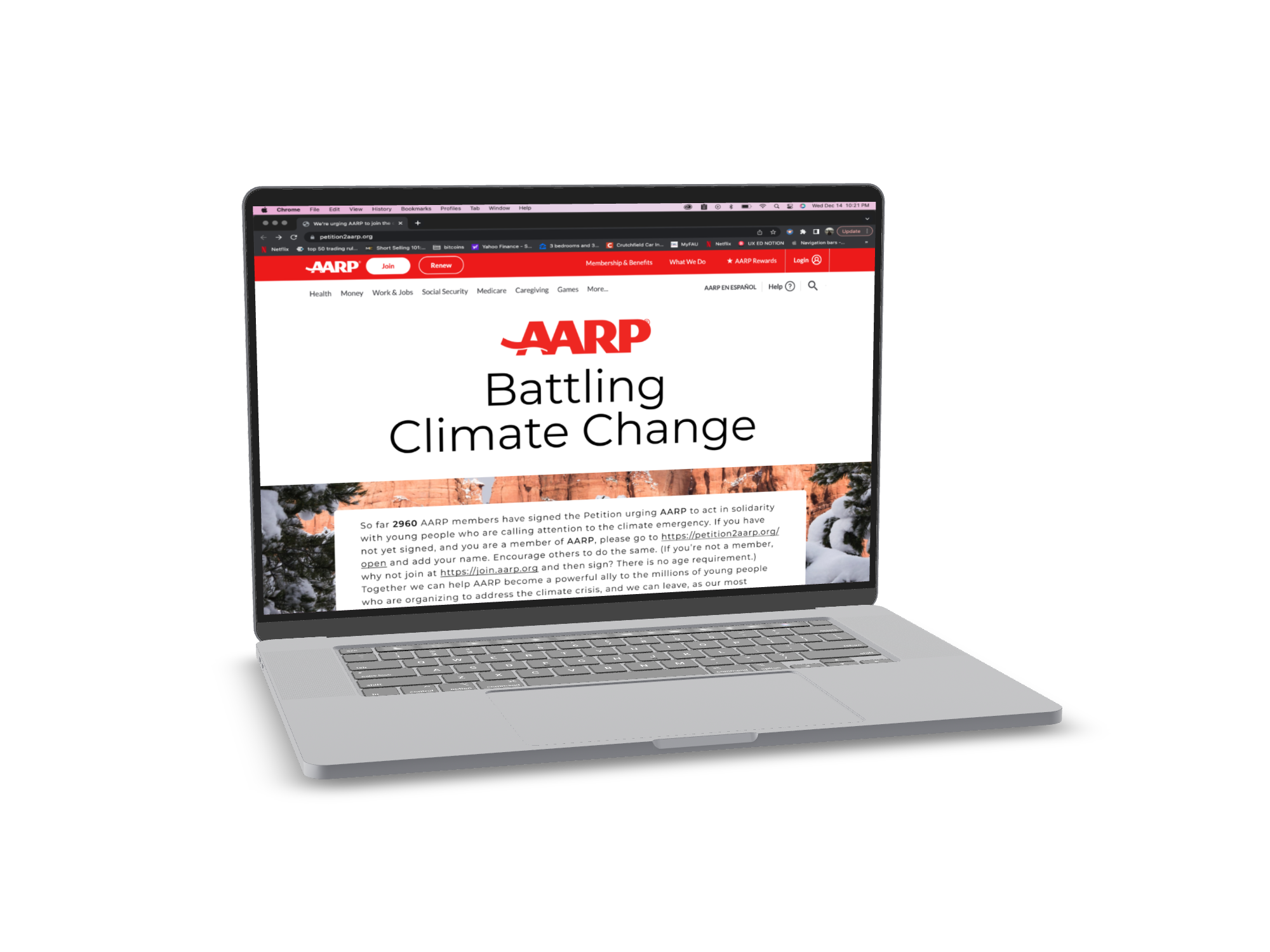 Website Design AARP