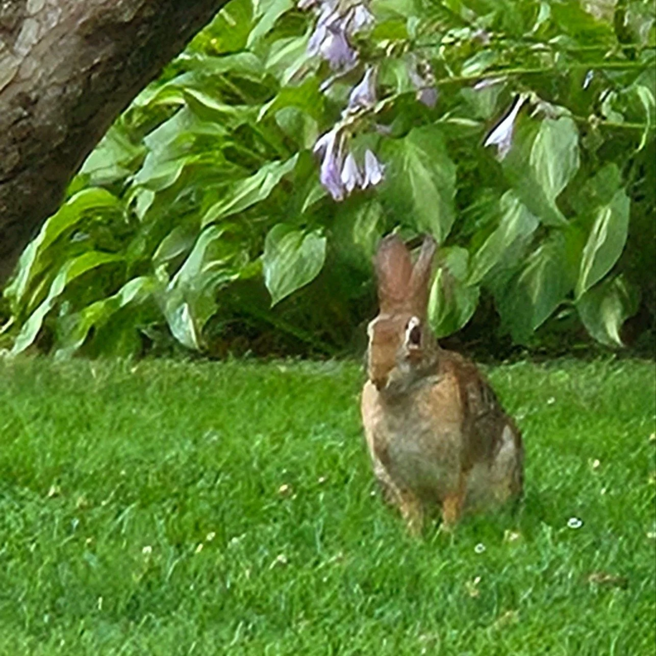 Happy Easter!