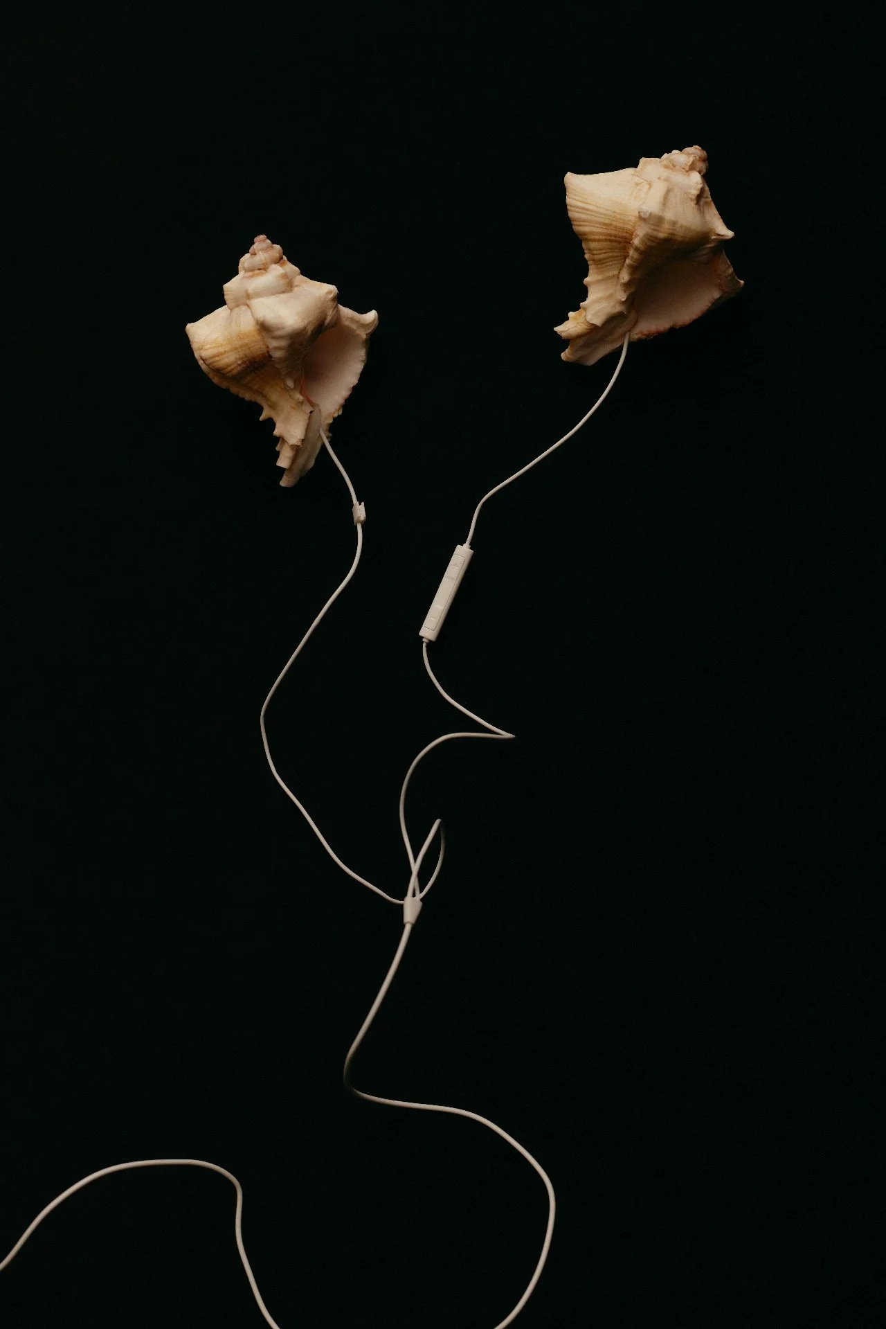 Seashells with earphones — the 13-minute guided audio practice