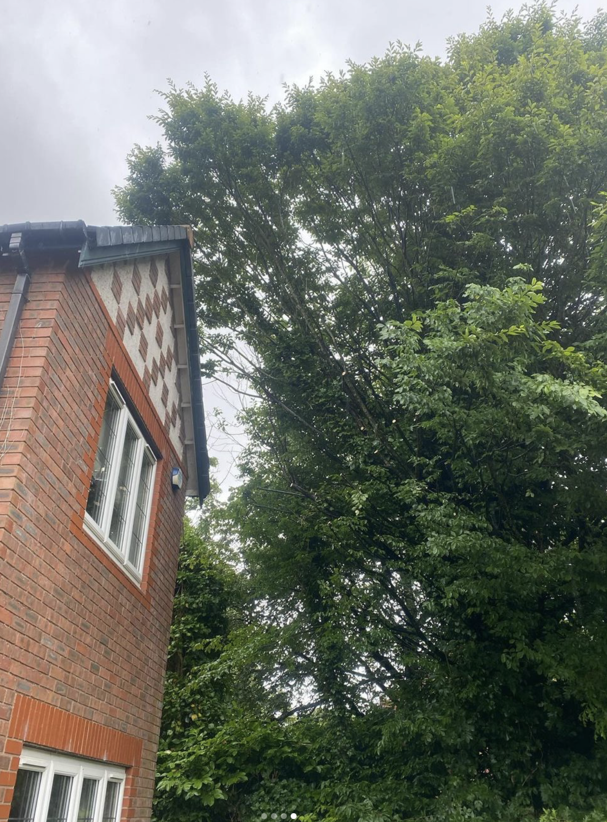 Screenshot 2024-10-11 at 14.56.44.png