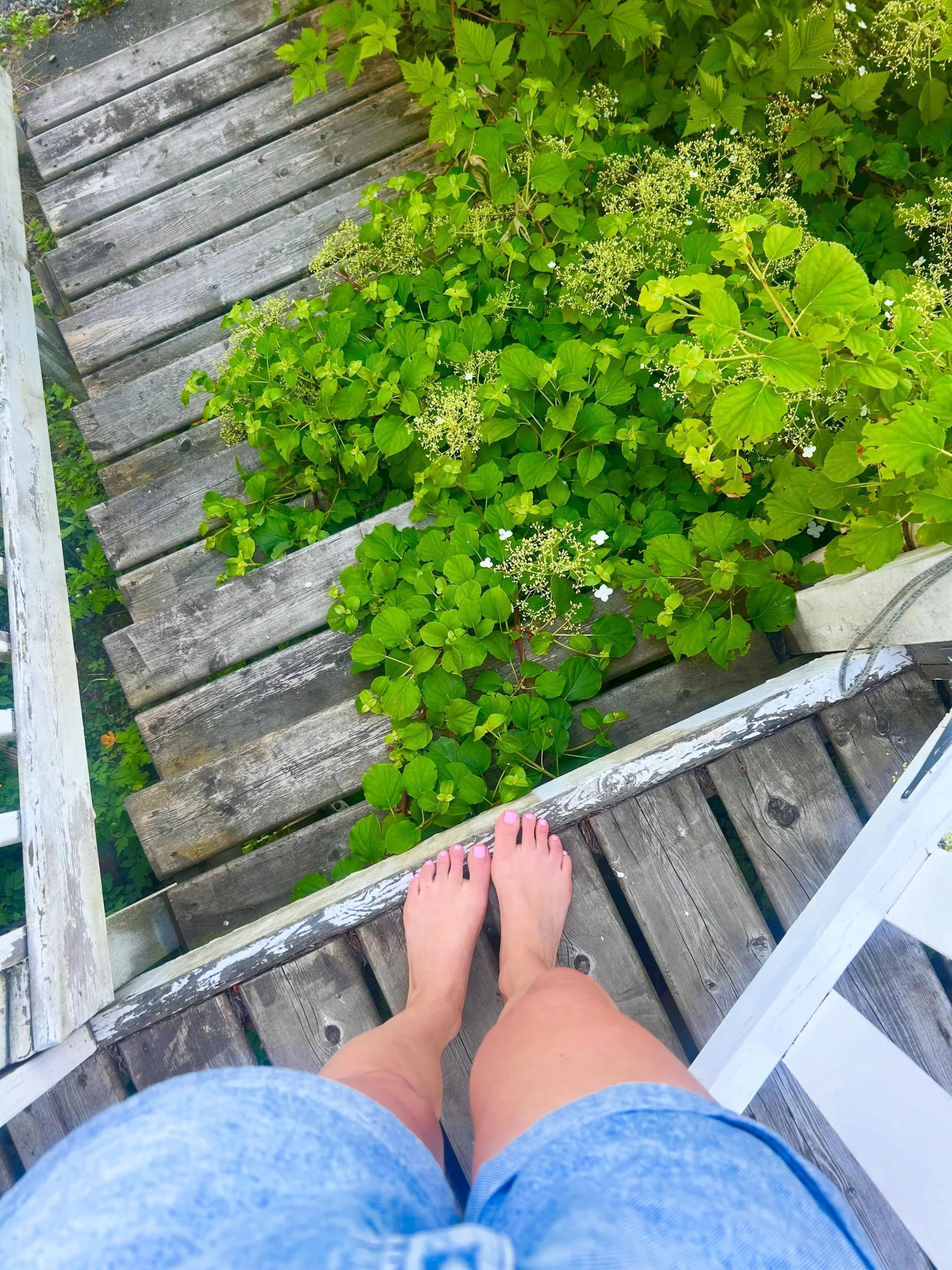 PSA! Have you ever had reflexology? I went and had a session today because I had been on my feet ALL day yesterday cutting hair (grateful for that!) and my body was soo sore. I also have a reoccurring chronic neck / upper back issue and it had been p