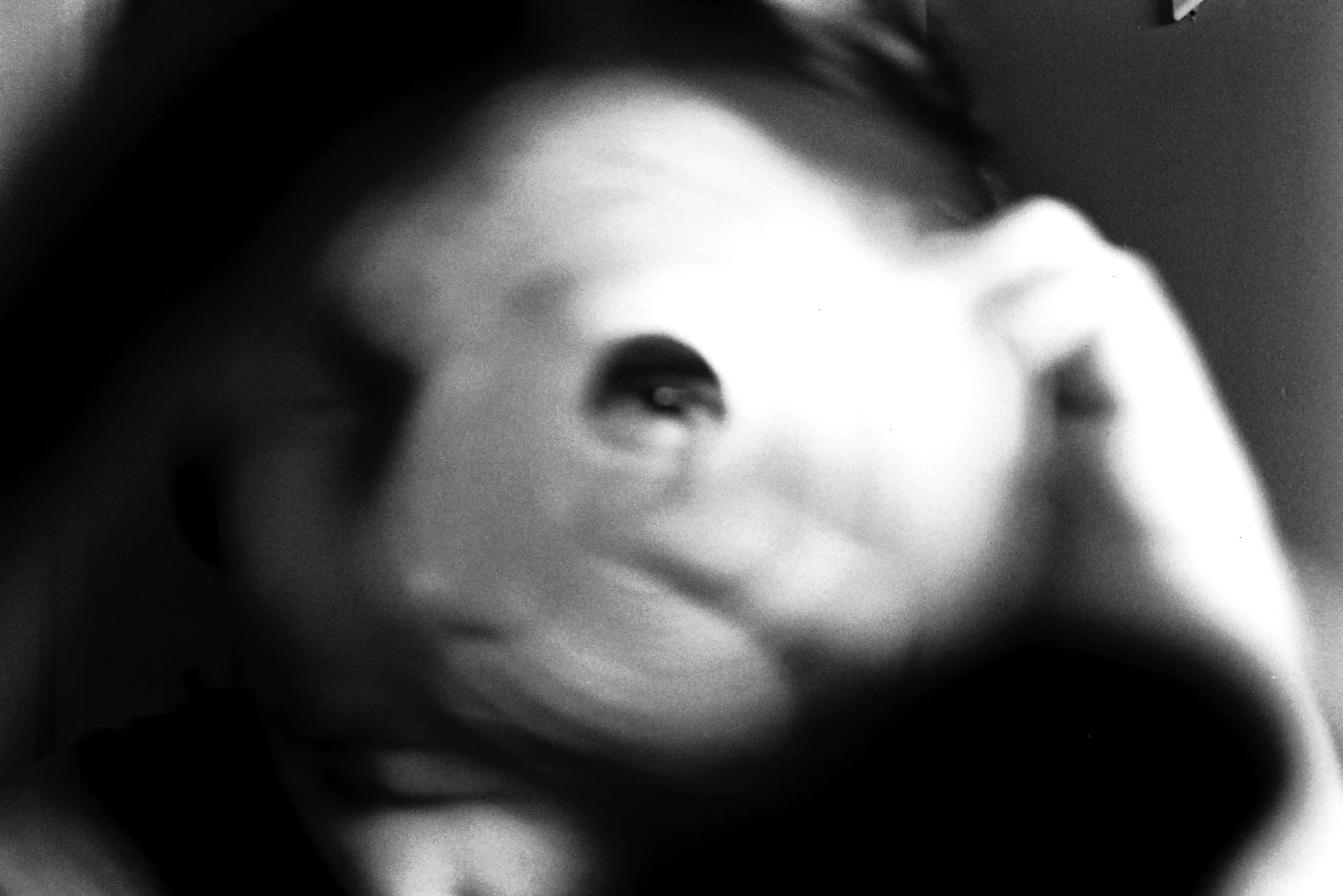 slnkyportrait.jpg