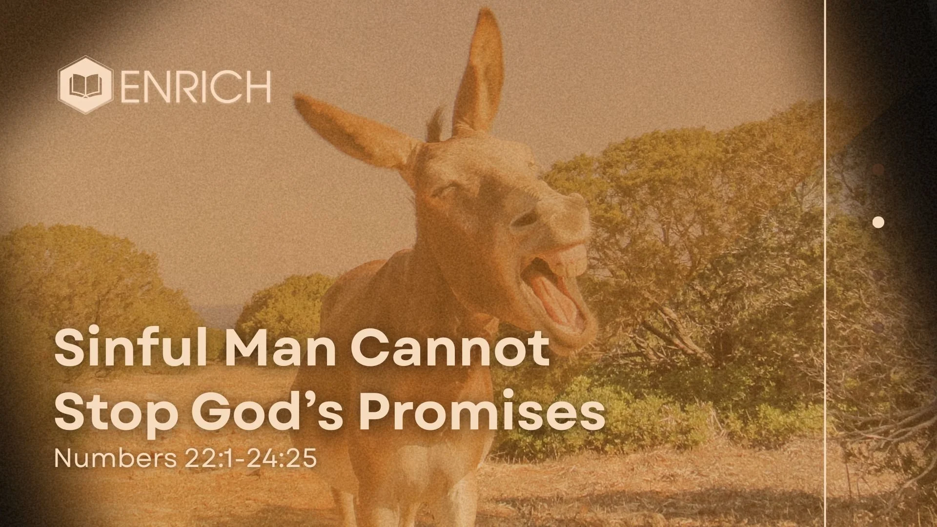 Sinful Man Cannot Stop God’s Promises