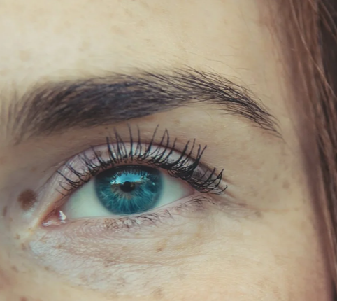 Lash Lift vs Lash Extensions -  Which Is Right for You?