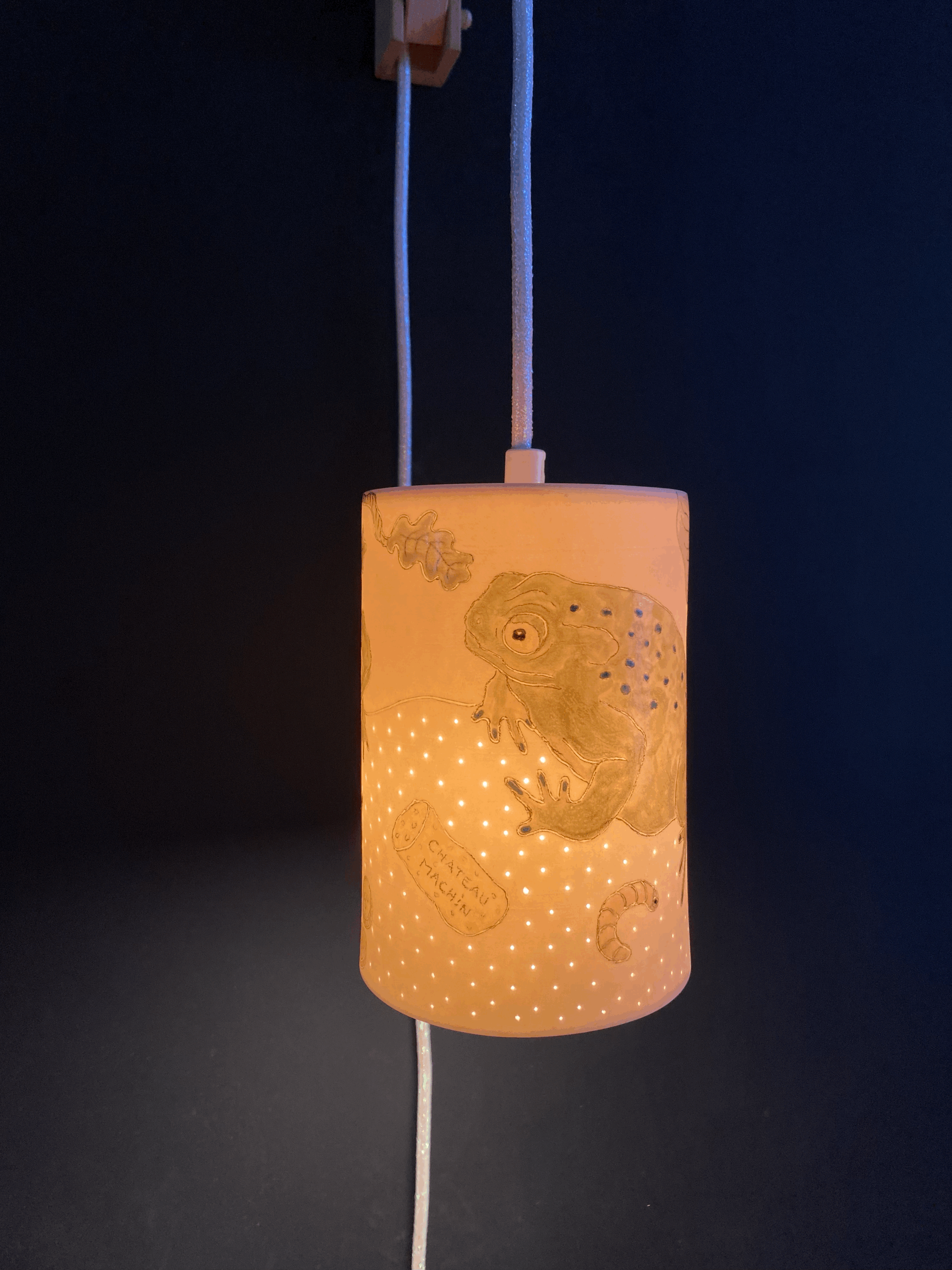 Lampe liseuse "crapauds"