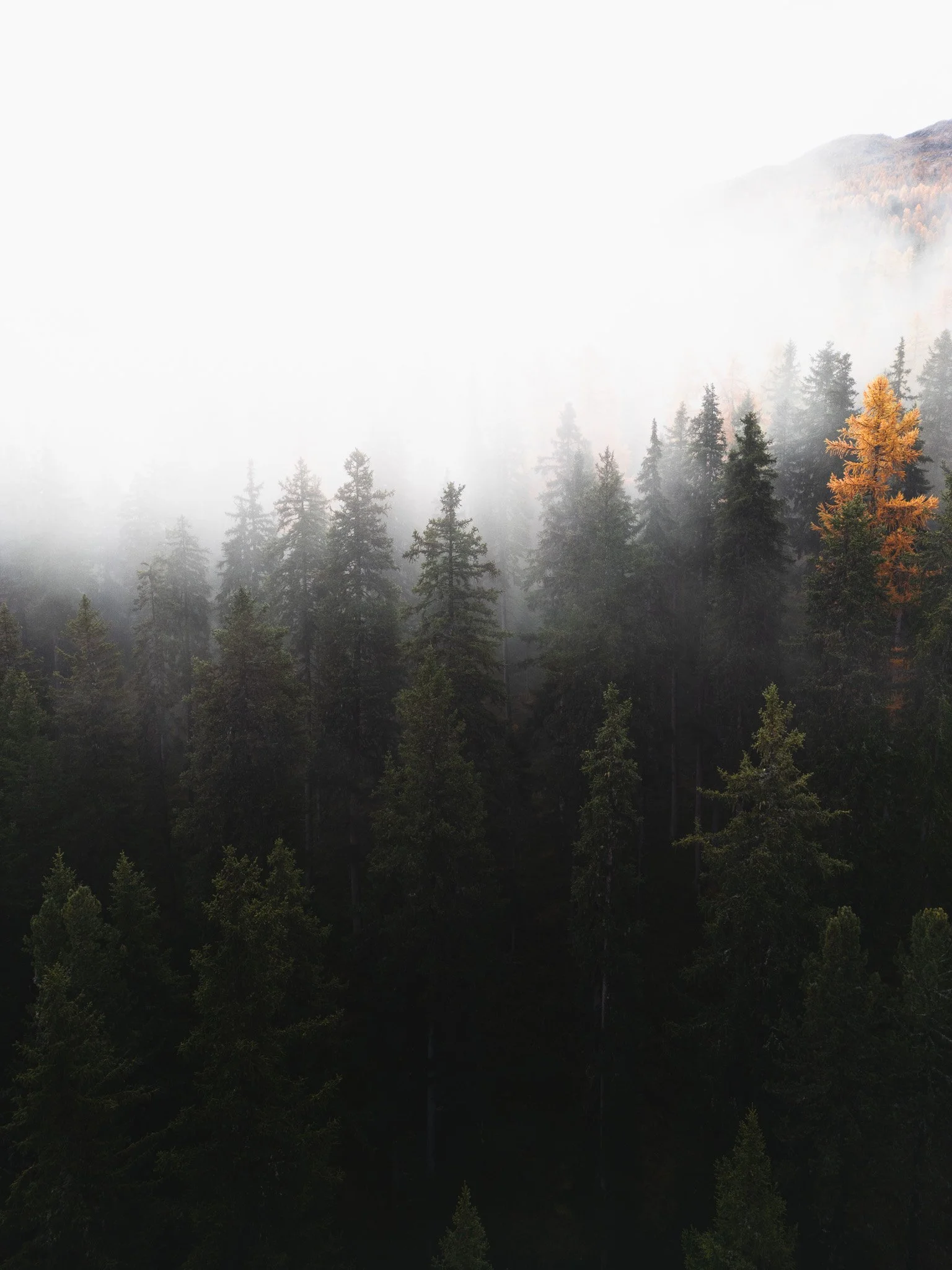 DJI_0246.jpg