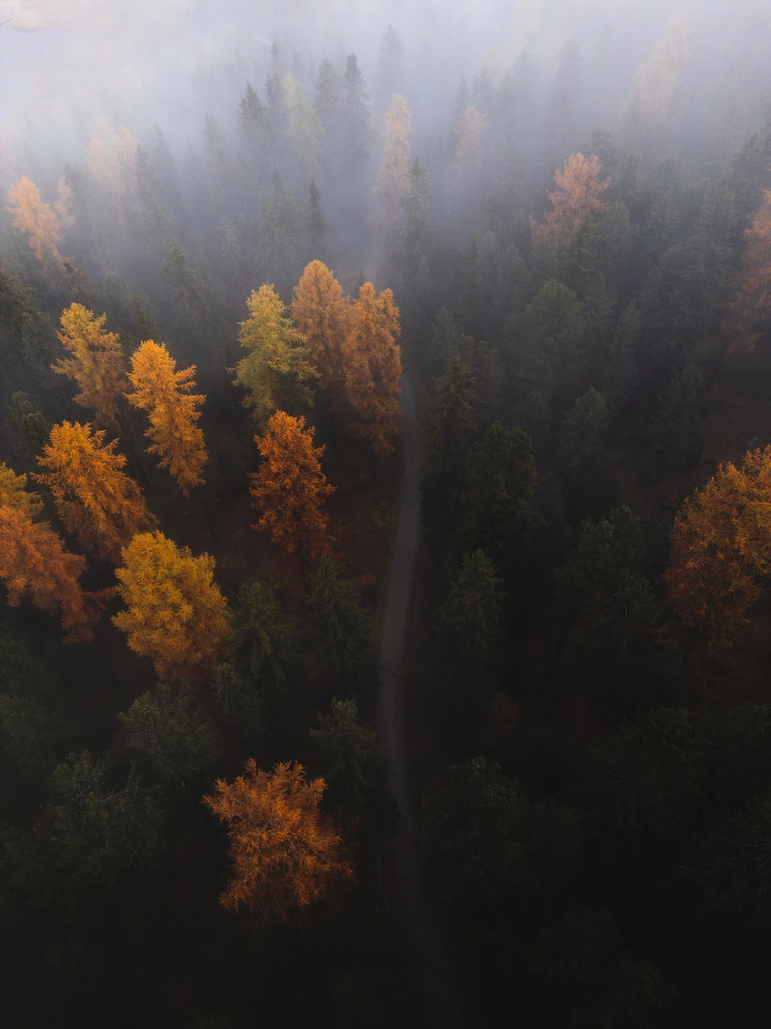 DJI_0258.jpg