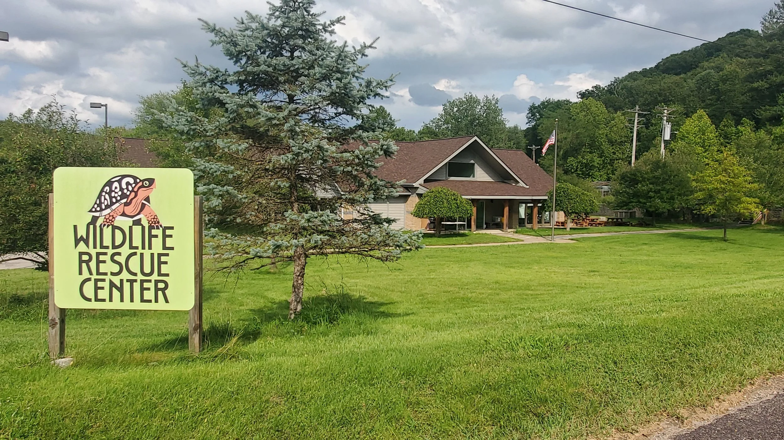 wildlife rescue center property street view.jpg