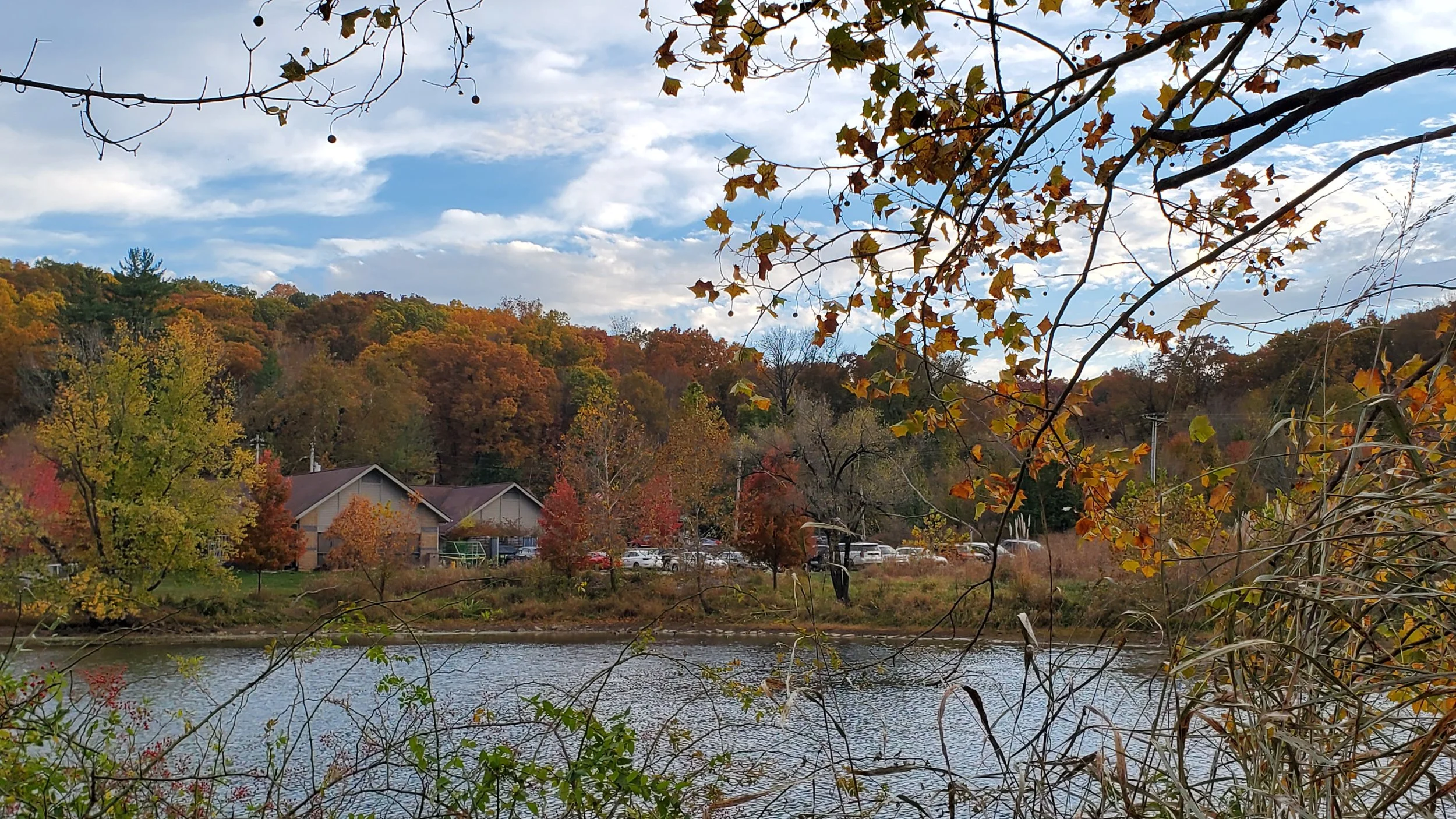 Wildlife Rescue Center in fall 2.jpg