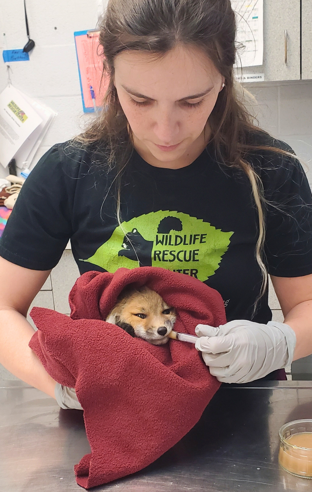 Mission and Vision — Wildlife Rescue Center