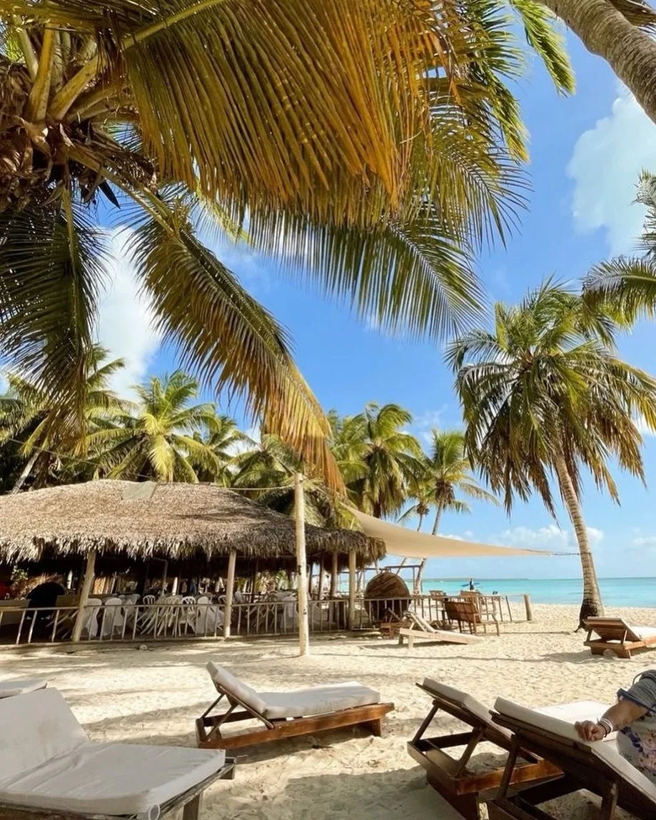 Enough about the snow. Time to get my mind right to be beach side enjoying the sunshine while it&rsquo;s gloomy back home. 

Looking forward to sharing everything DOMINICAN 🇩🇴