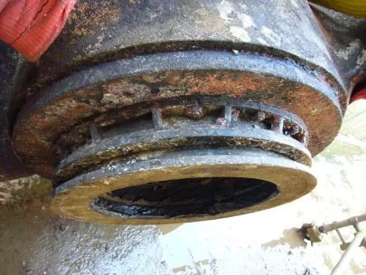 cedervall seal challenge.JPG