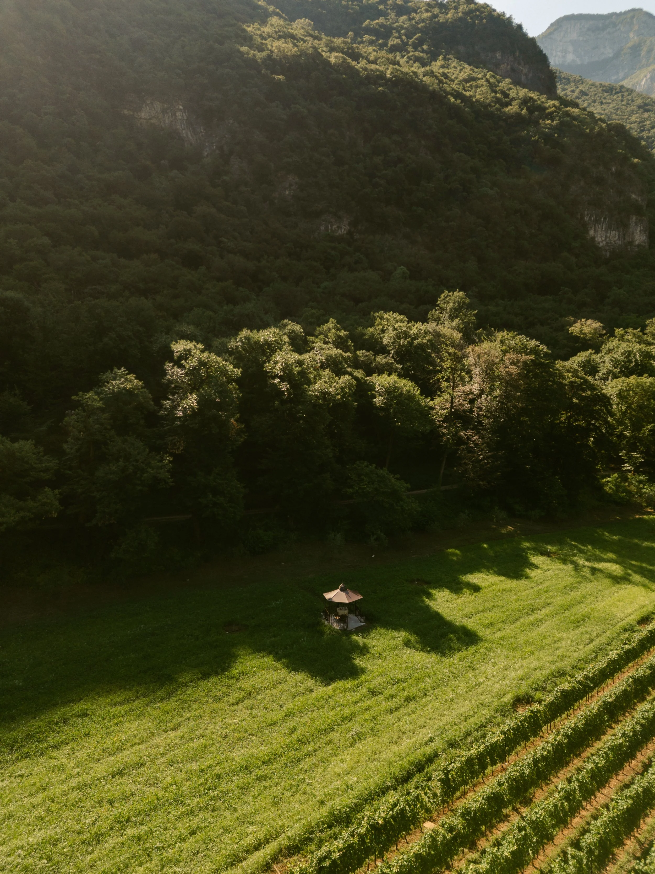 DJI_0154.jpg