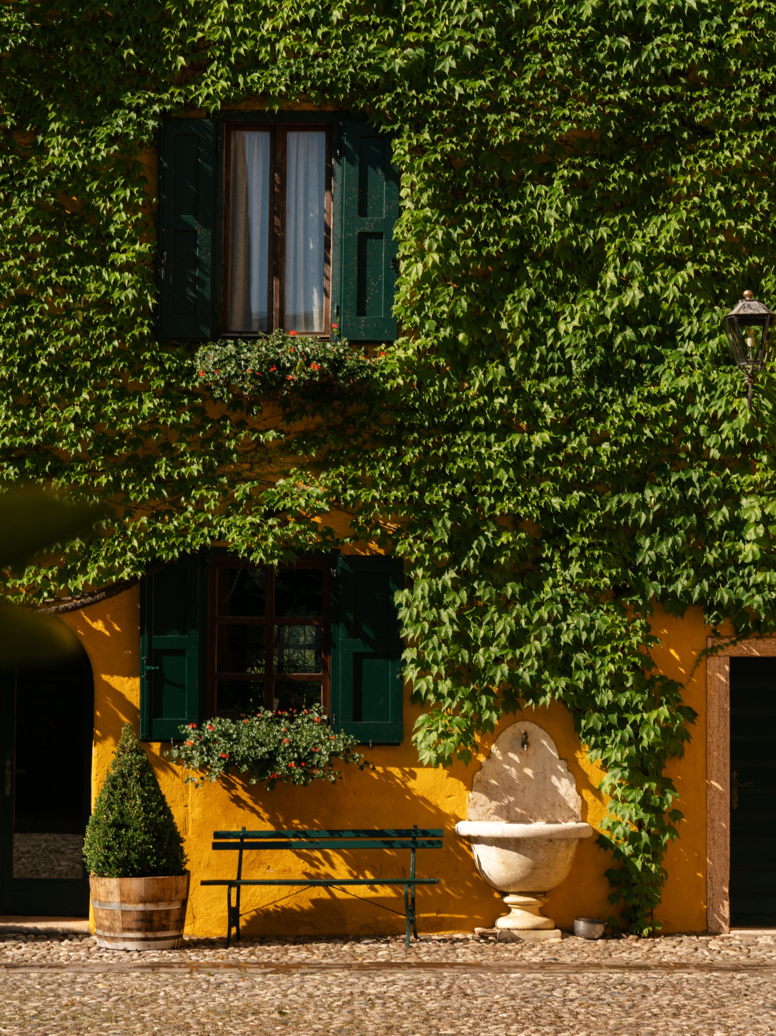 _DSC0008-2.jpg