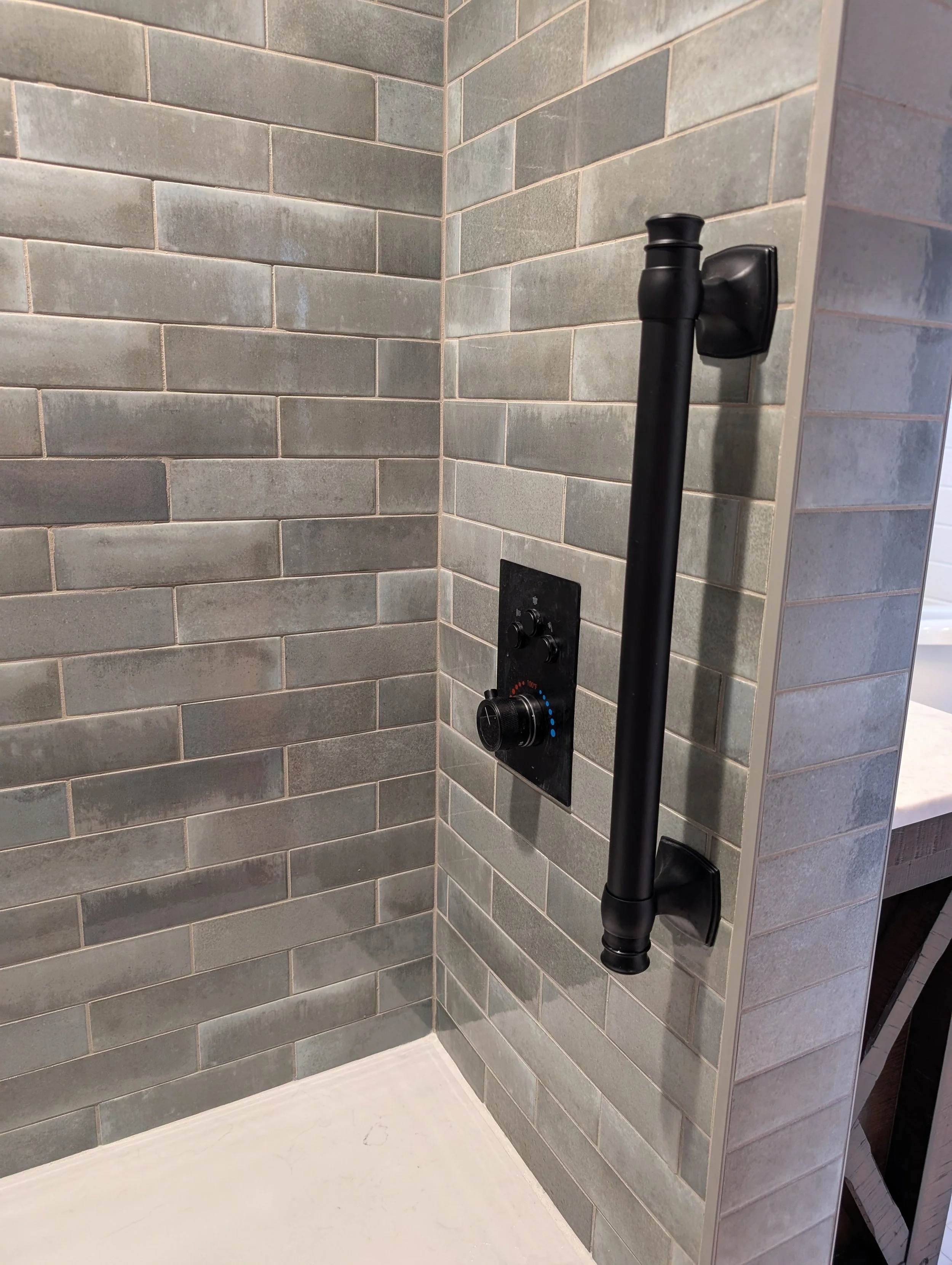 Faceut and grab bar for shower