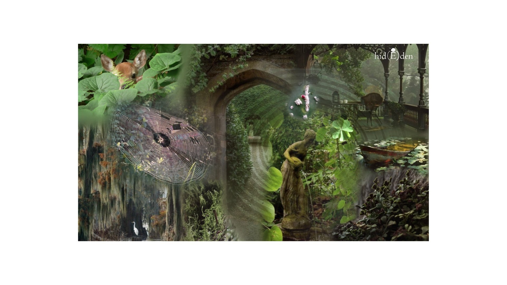 Our brand mood board