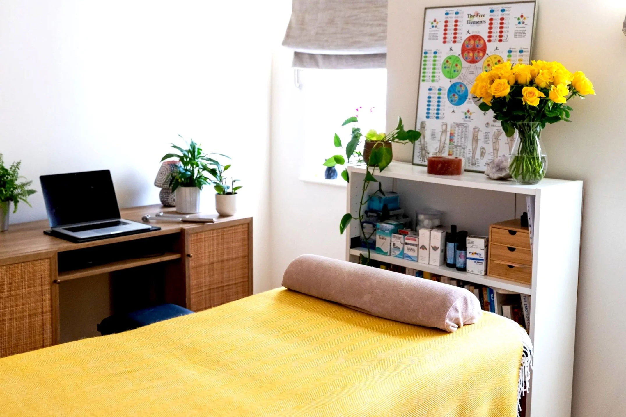 Acupuncture Practice