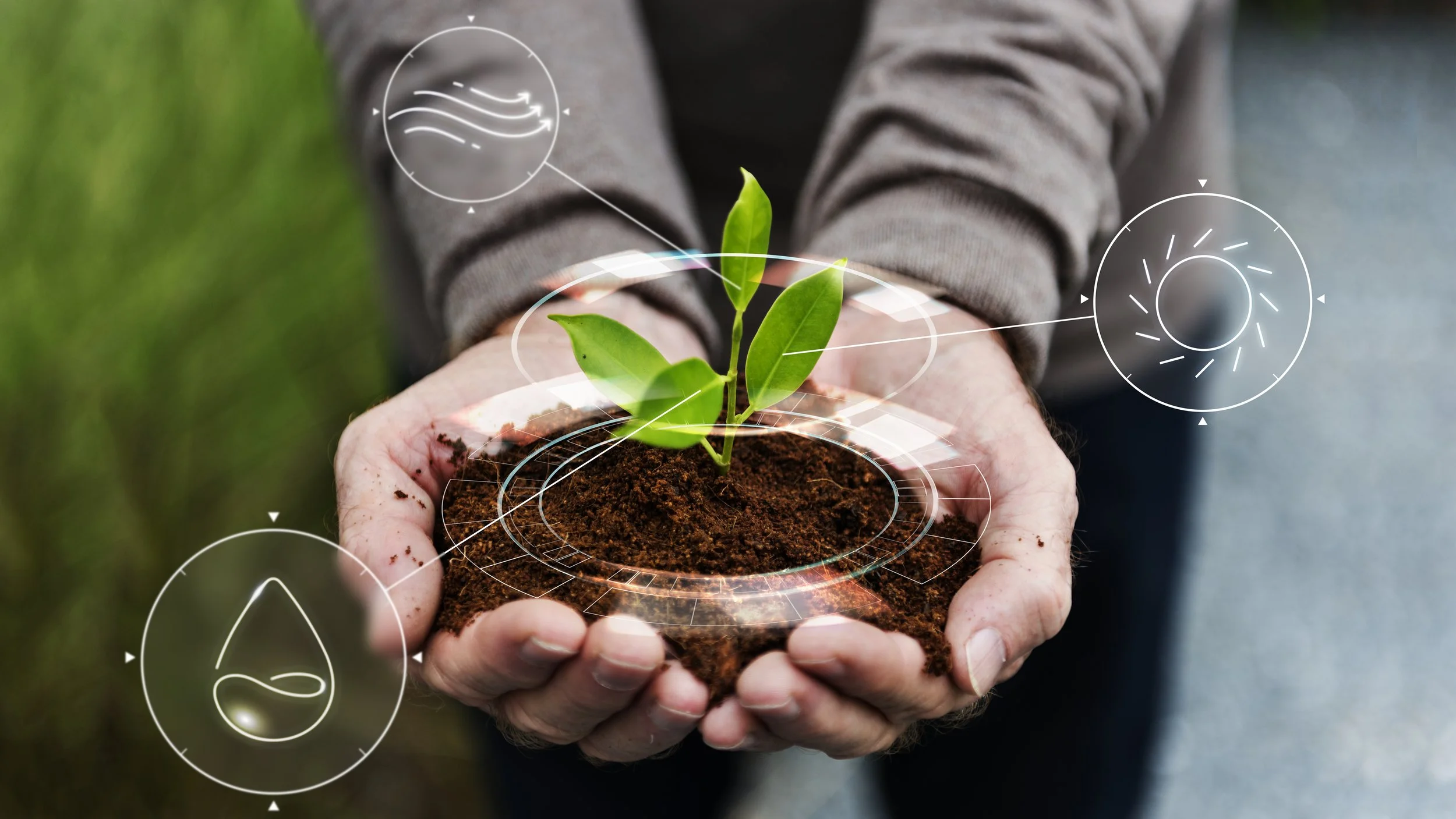Conferința „Provocările agribusinessului în România”