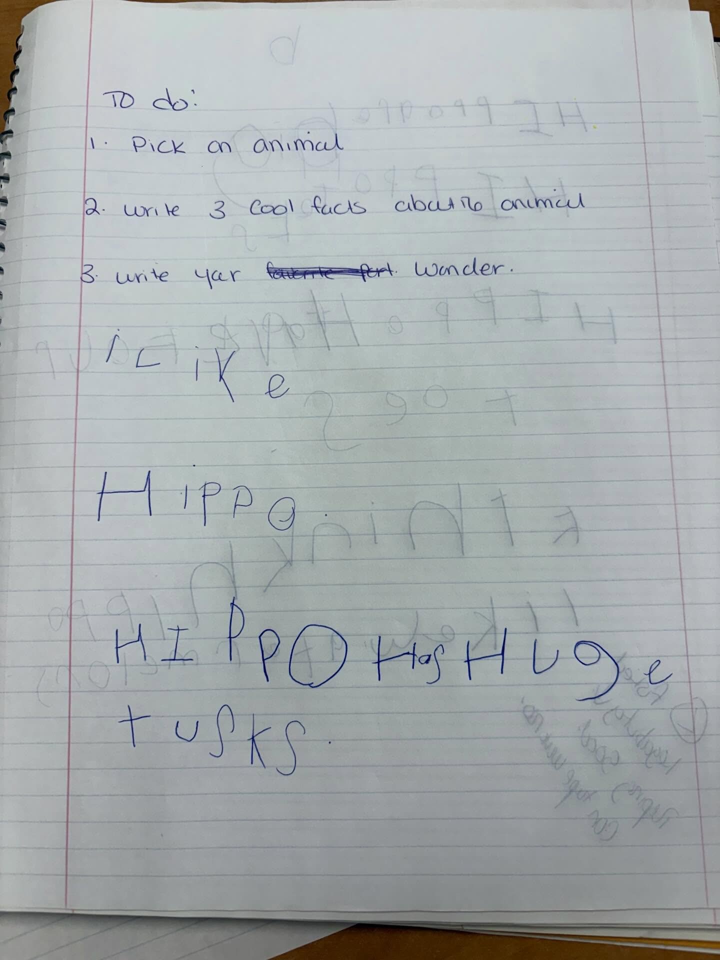 I mean who doesn&rsquo;t love Hippos right?! 😜

This is an example of using emergent literacy in practice!

This junior high student is autistic, and writing anything has felt really hard. Participating in literacy tasks? Even harder.

But when we a