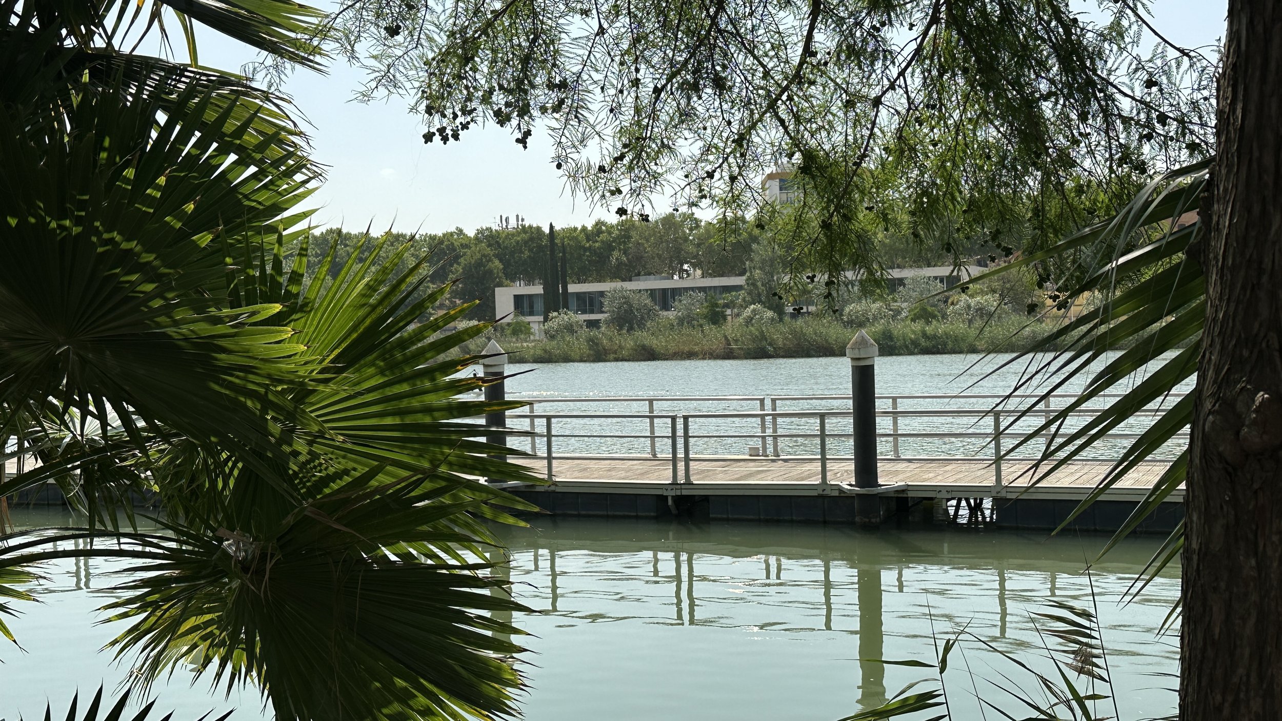 Vista de un muelle junto a un cuerpo de agua rodeado de árboles y vegetación, con un edificio moderno al fondo.