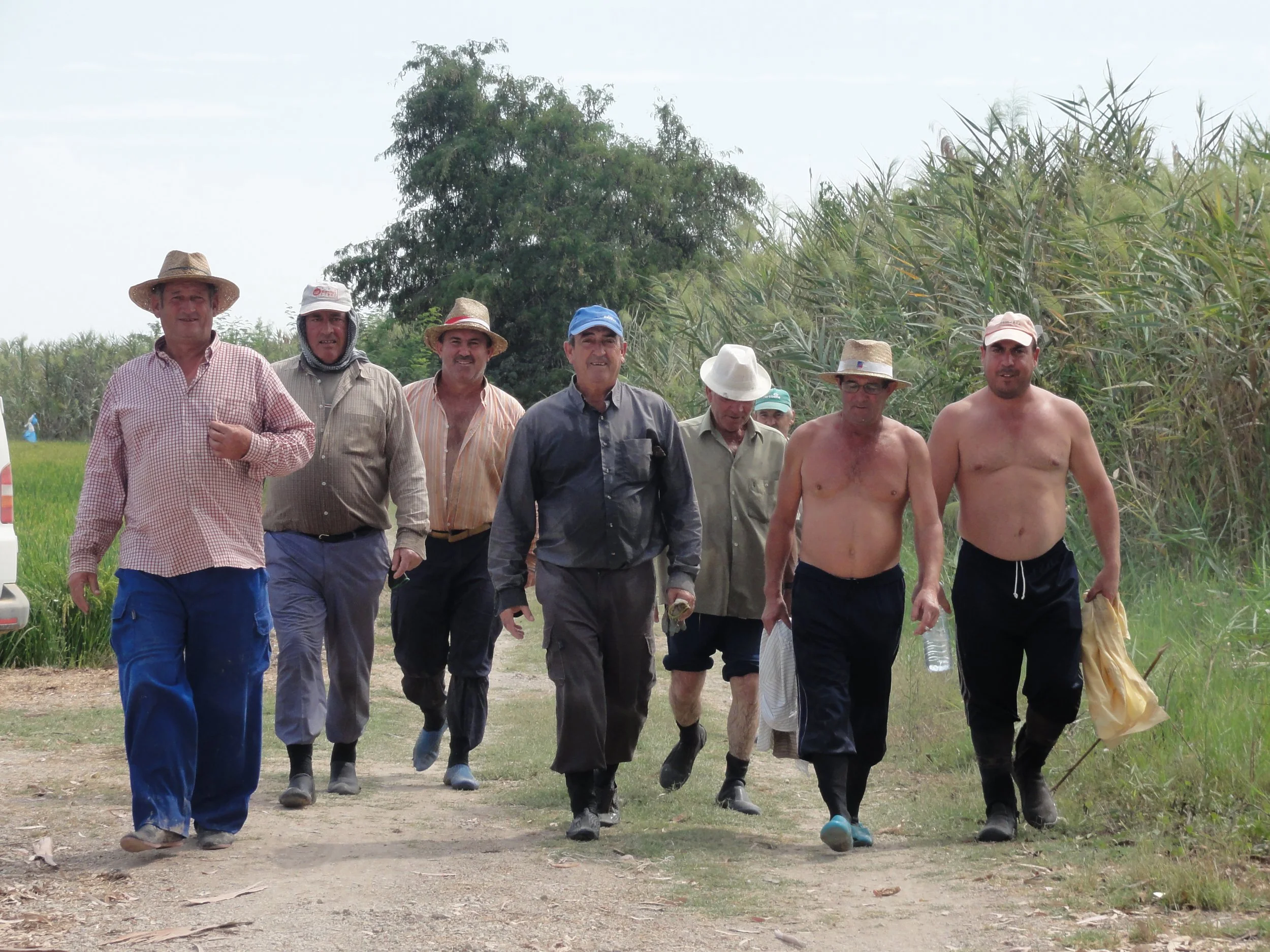Hombres caminando en un campo agrícola, algunos llevan sombreros y ropa de trabajo, otros están sin camisa, en un entorno rural con árboles y plantas altas.