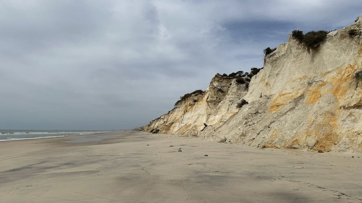 Costa de playa con acantilados de colores claros y cielo nublado.
