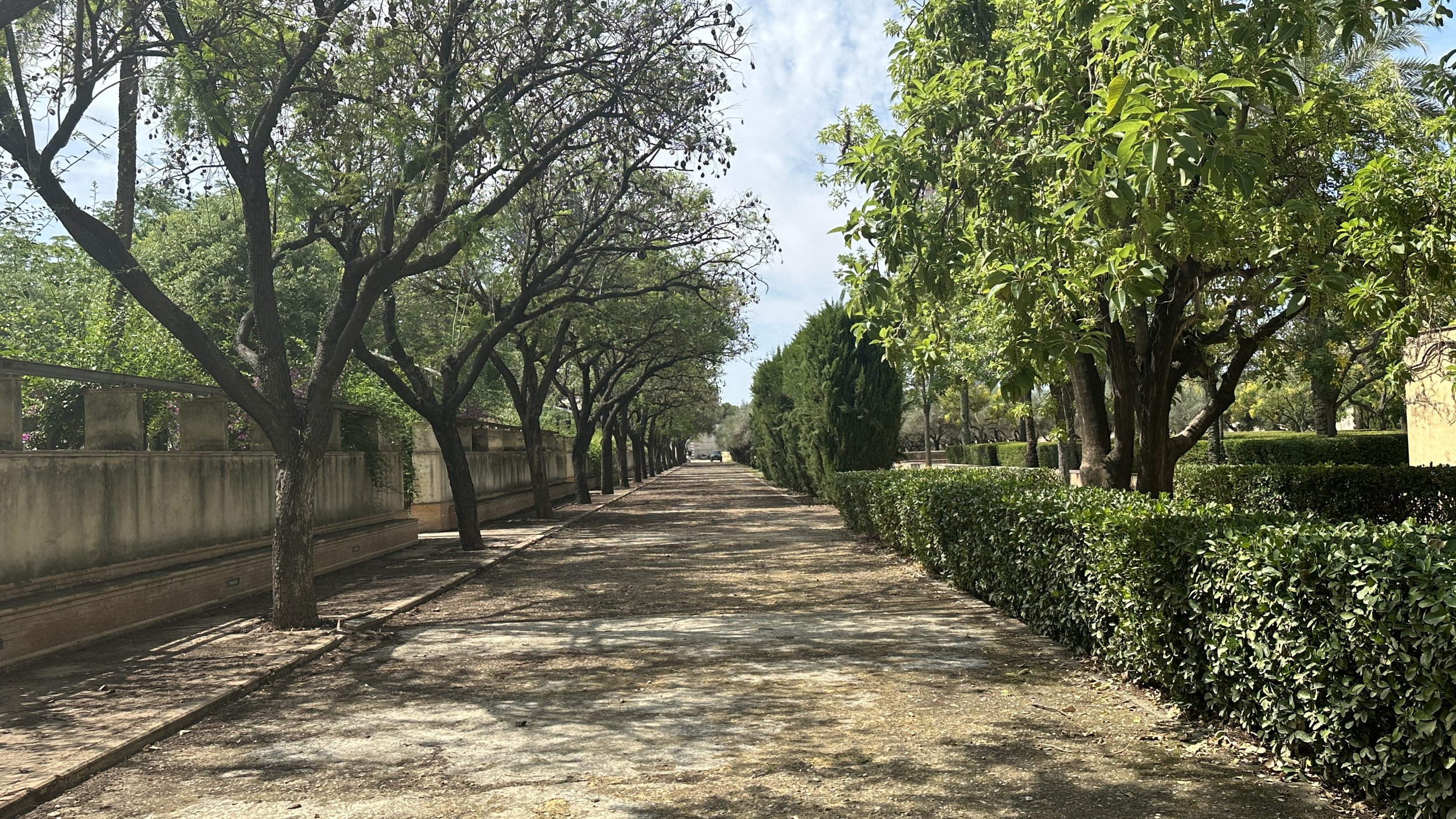 Camino arbolado con árboles a ambos lados, cerca de una pared y arbustos a la derecha, cielo parcialmente nublado.