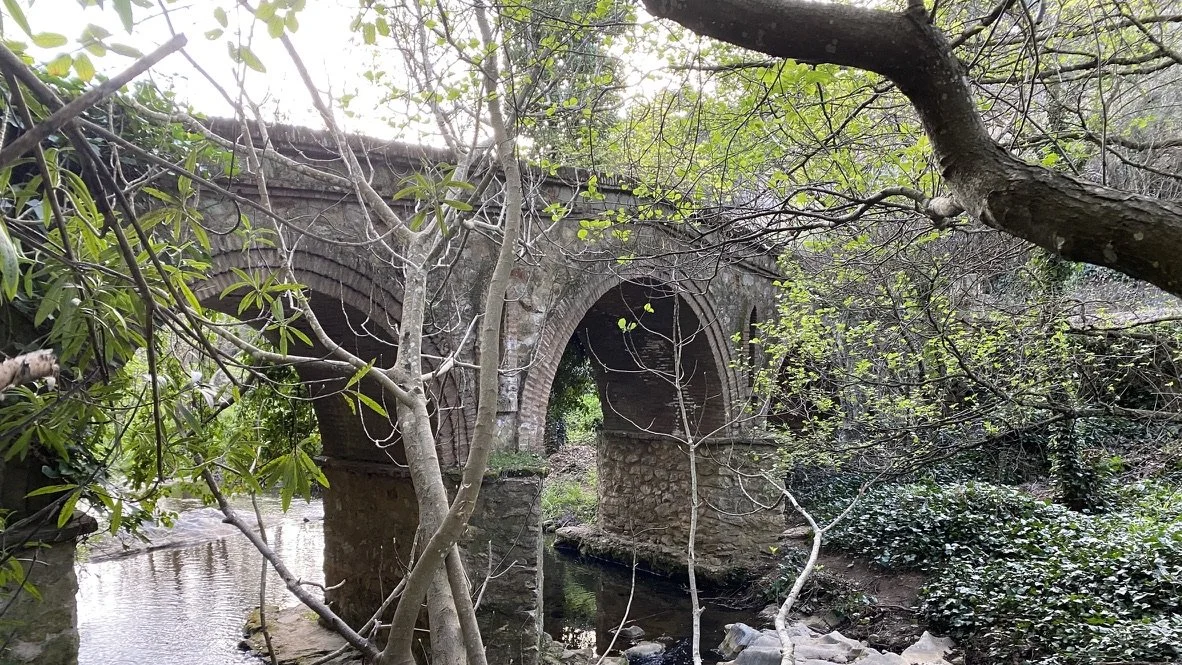 Puente de piedra en un entorno natural con árboles y río