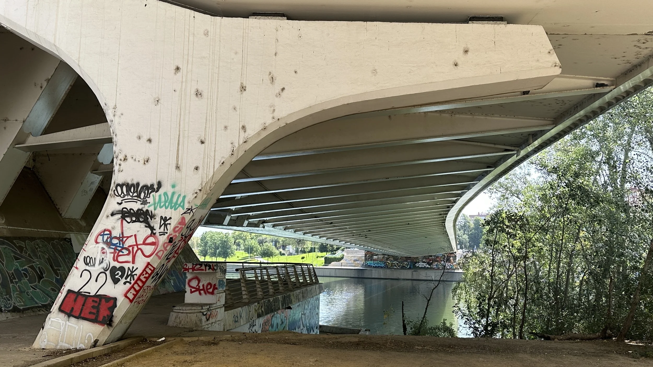 Puente moderno de concreto con graffiti en las columnas, sobre un río con vegetación y árboles verdes a su alrededor, en un día soleado.