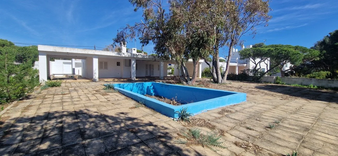 Piscina vacía en el patio trasero de una casa con árboles y cielo despejado.