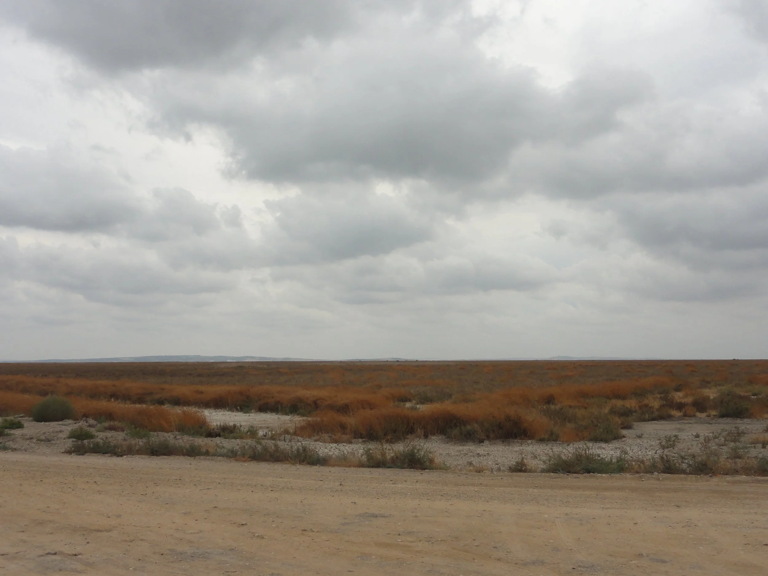 Paisaje de un terreno árido con arbustos y vegetación seca, cielo nublado y gris.