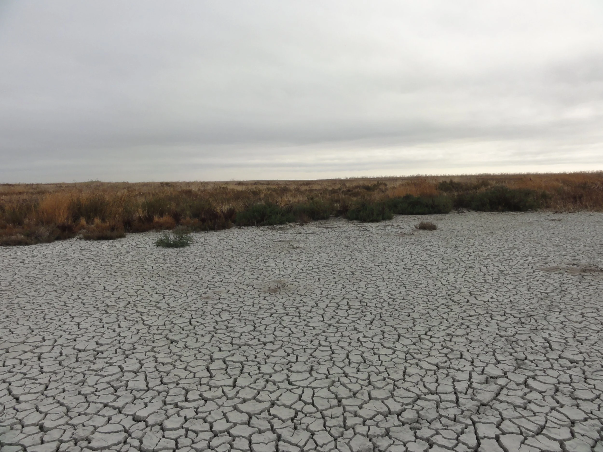 Terreno seco y agrietado en un paisaje árido con maleza y cielo nublado.